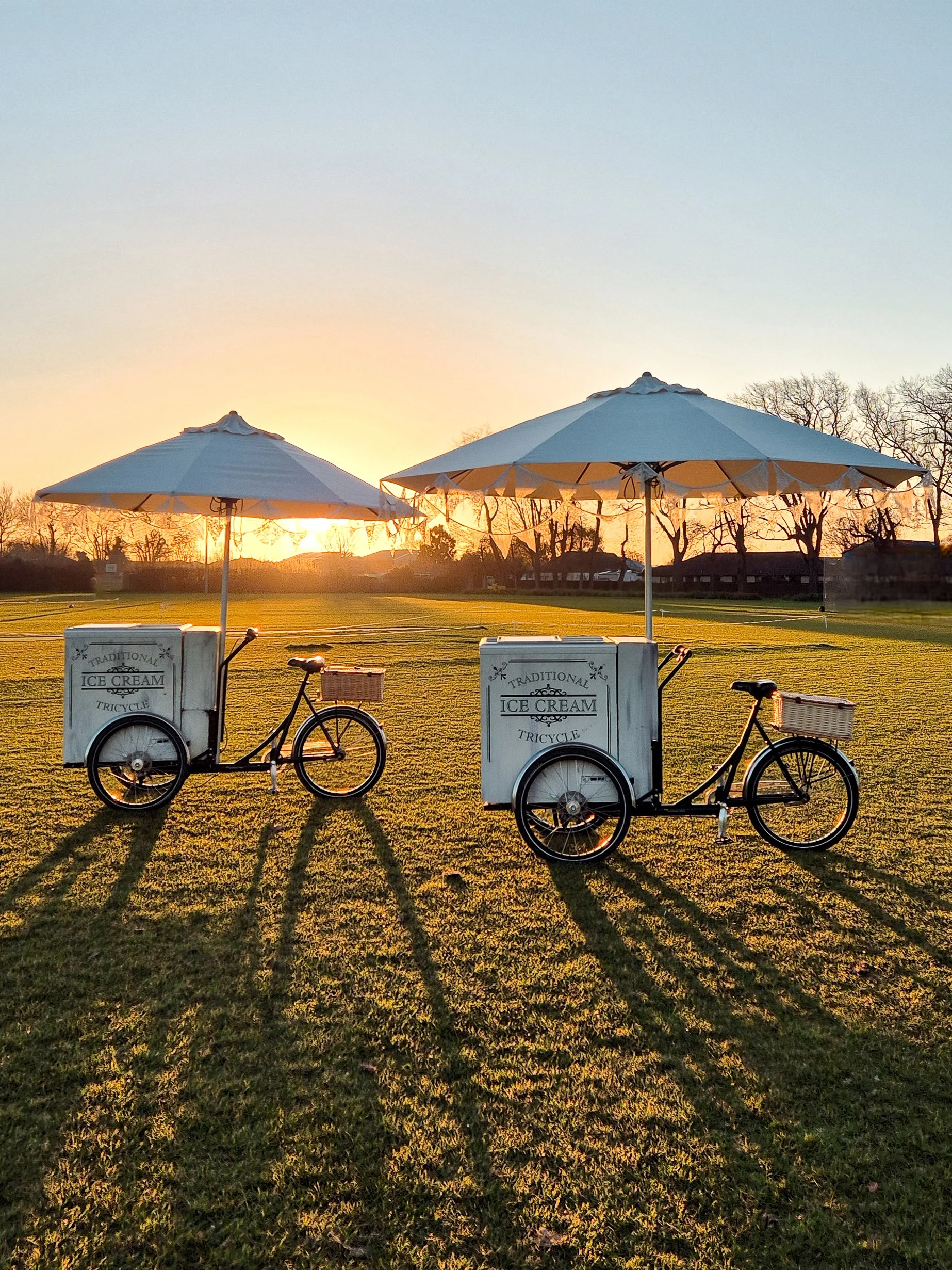 The Rollin’ Pedaler 