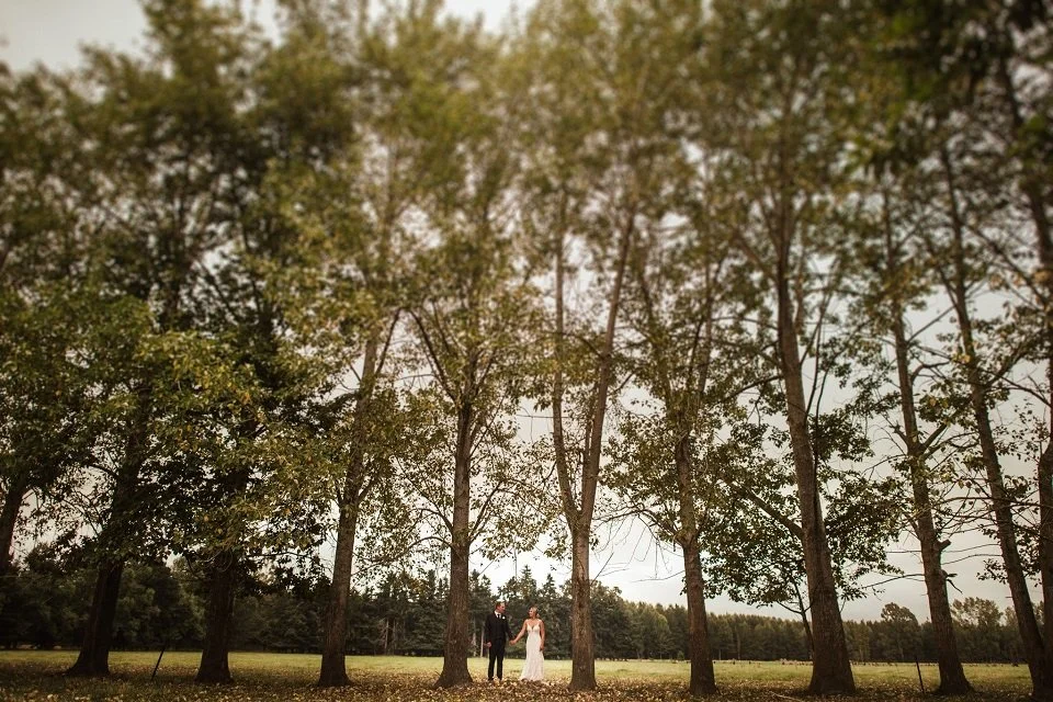 bride and groom standing under tall trees from Megan and Nick's wedding at Mt Peel photographed by Sarah Clements Photography