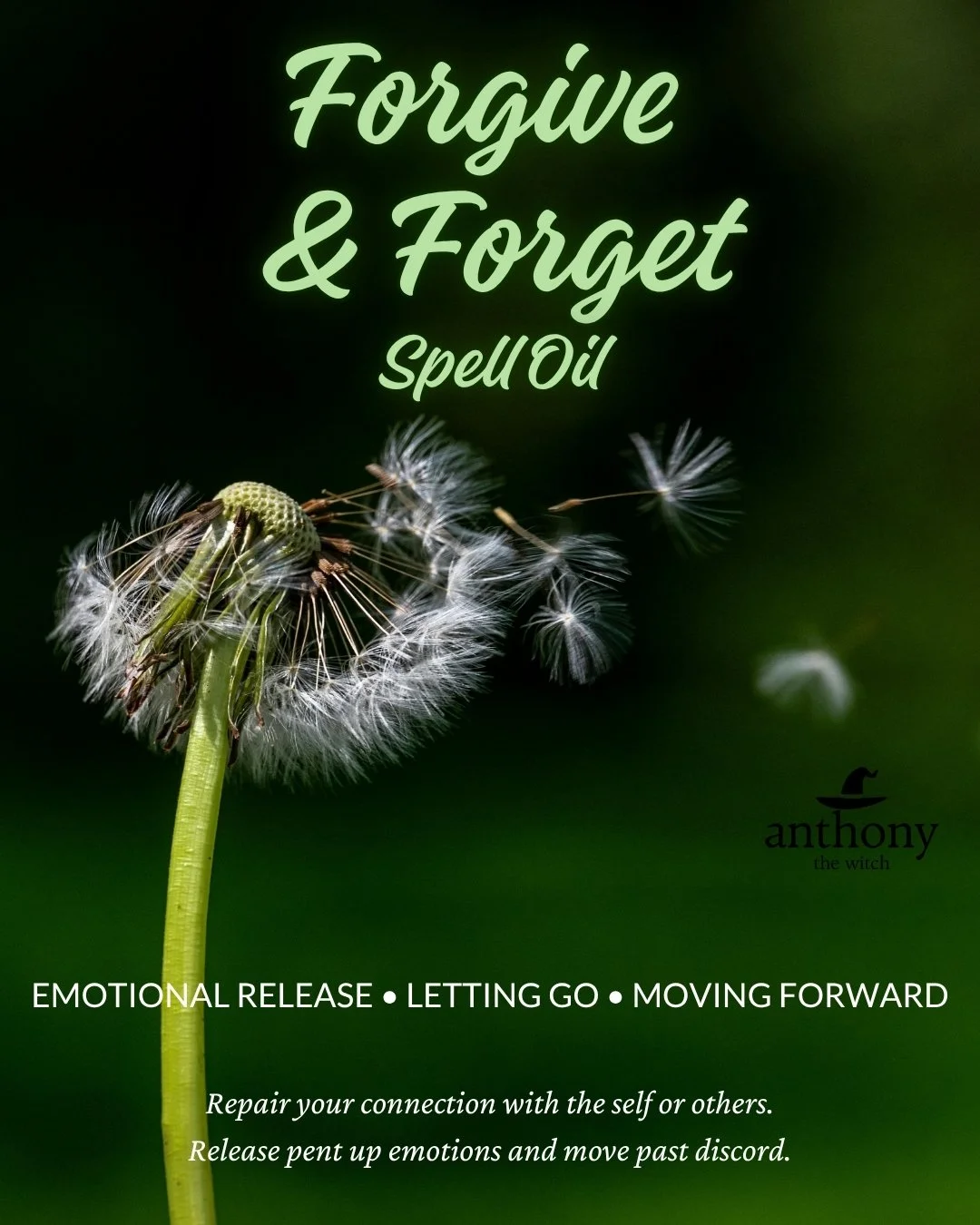 Forgive & Forget Spell Oil