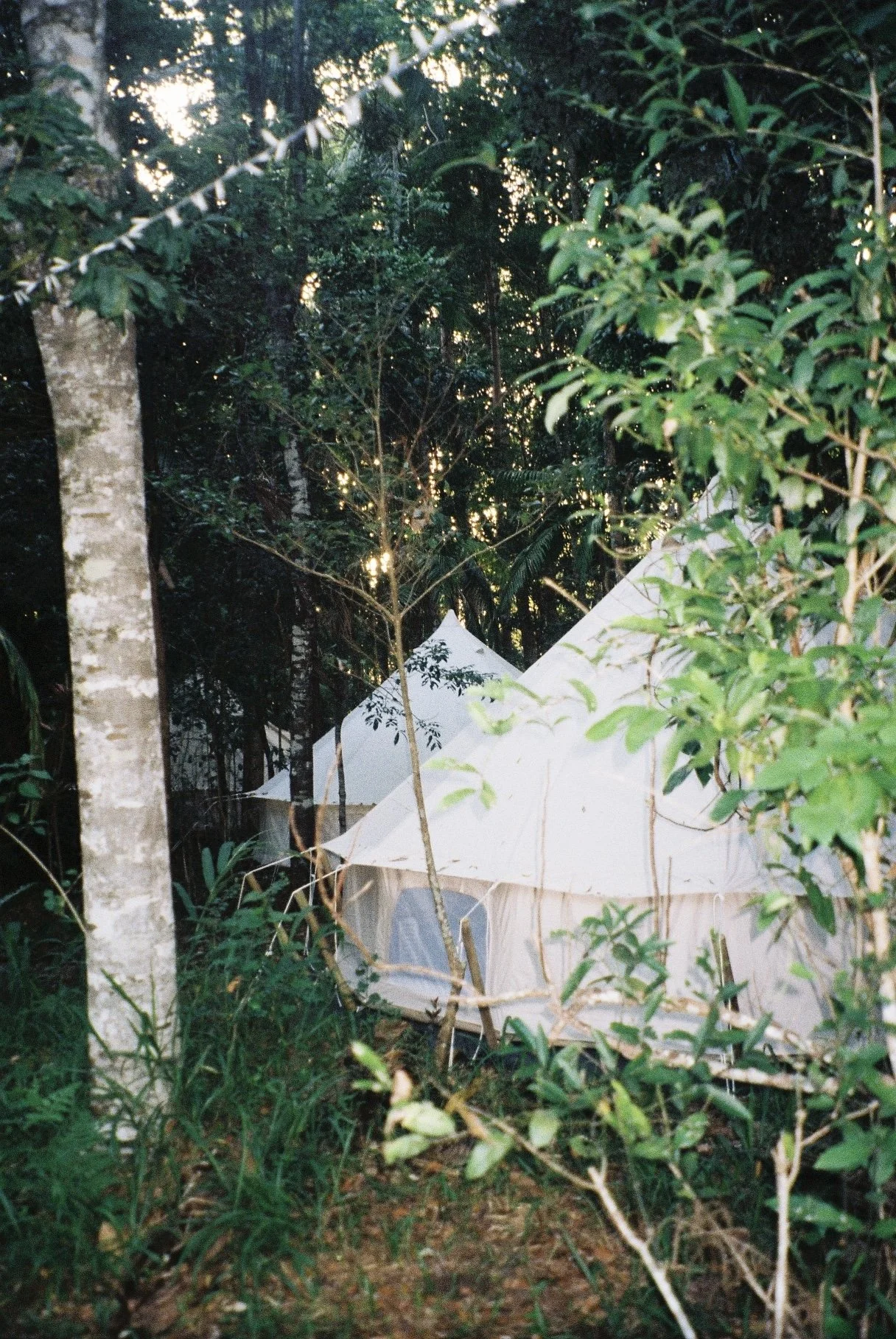 Foto 19-12-2024, 17 33 16 (18).JPG