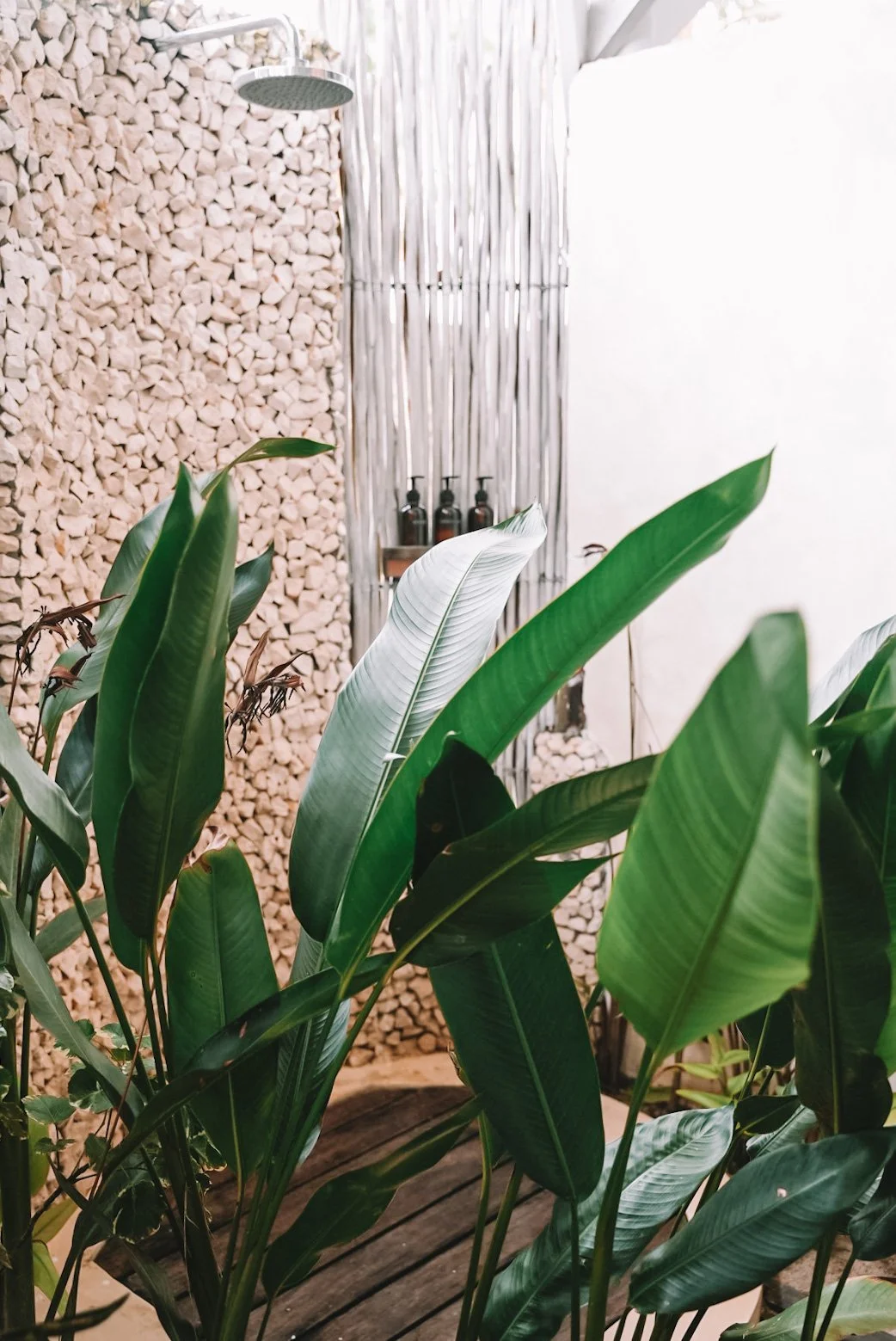 Copy of Copy of image00018.JPEG