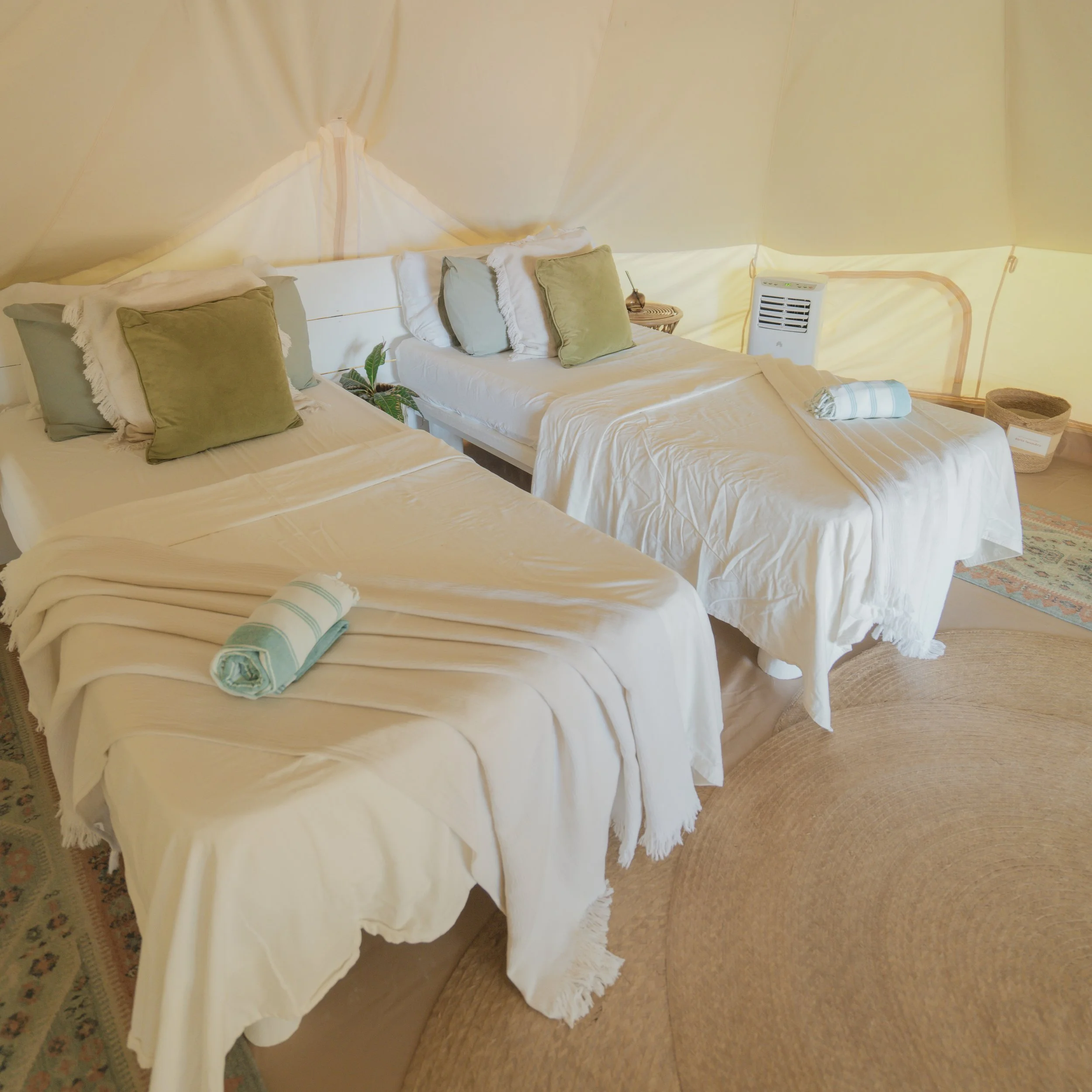 Copy of DSC04685.jpg