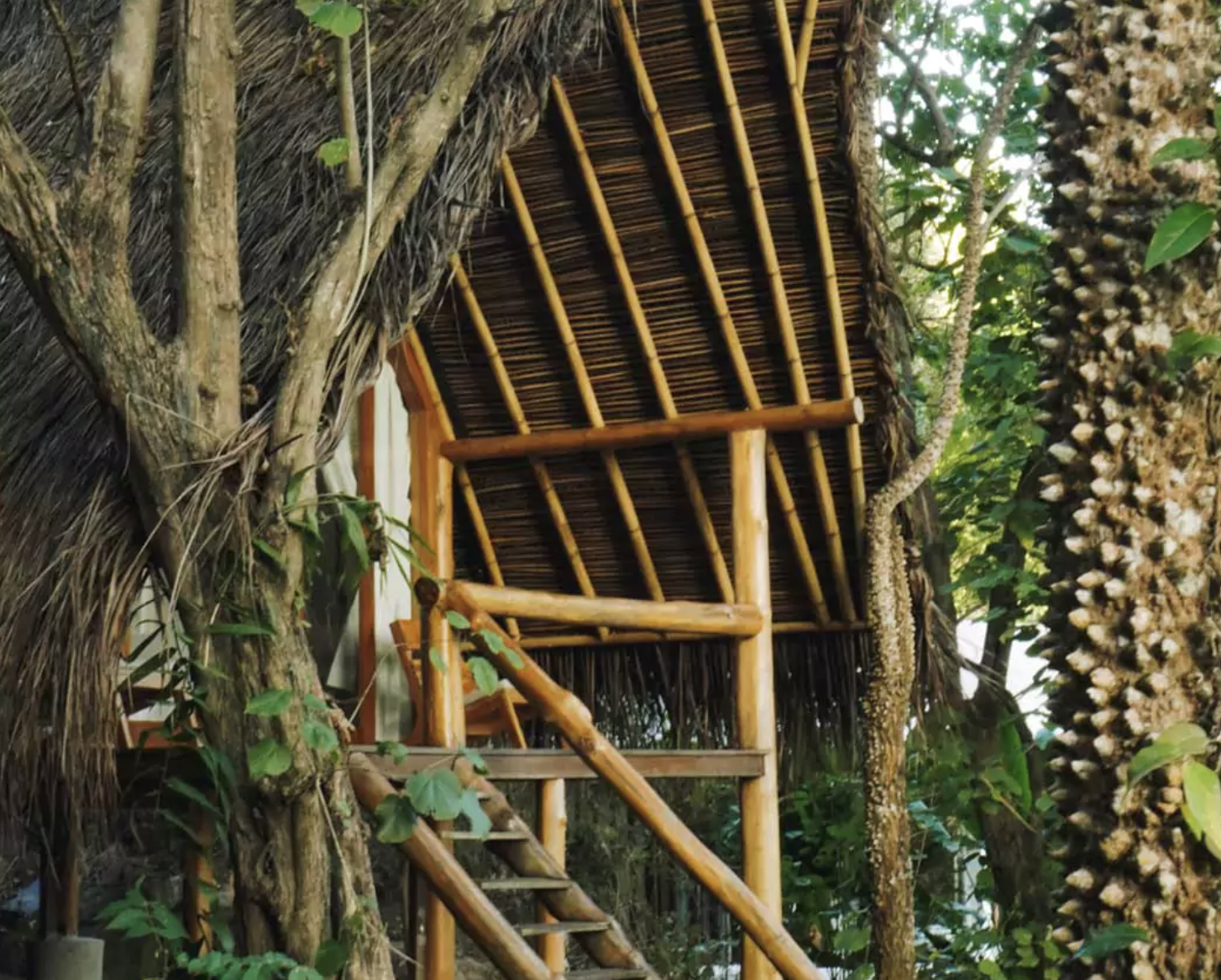 Screenshot 2026-03-31 at 2.10.11 pm.png