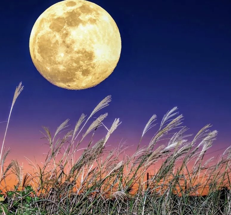 Harvest Moon