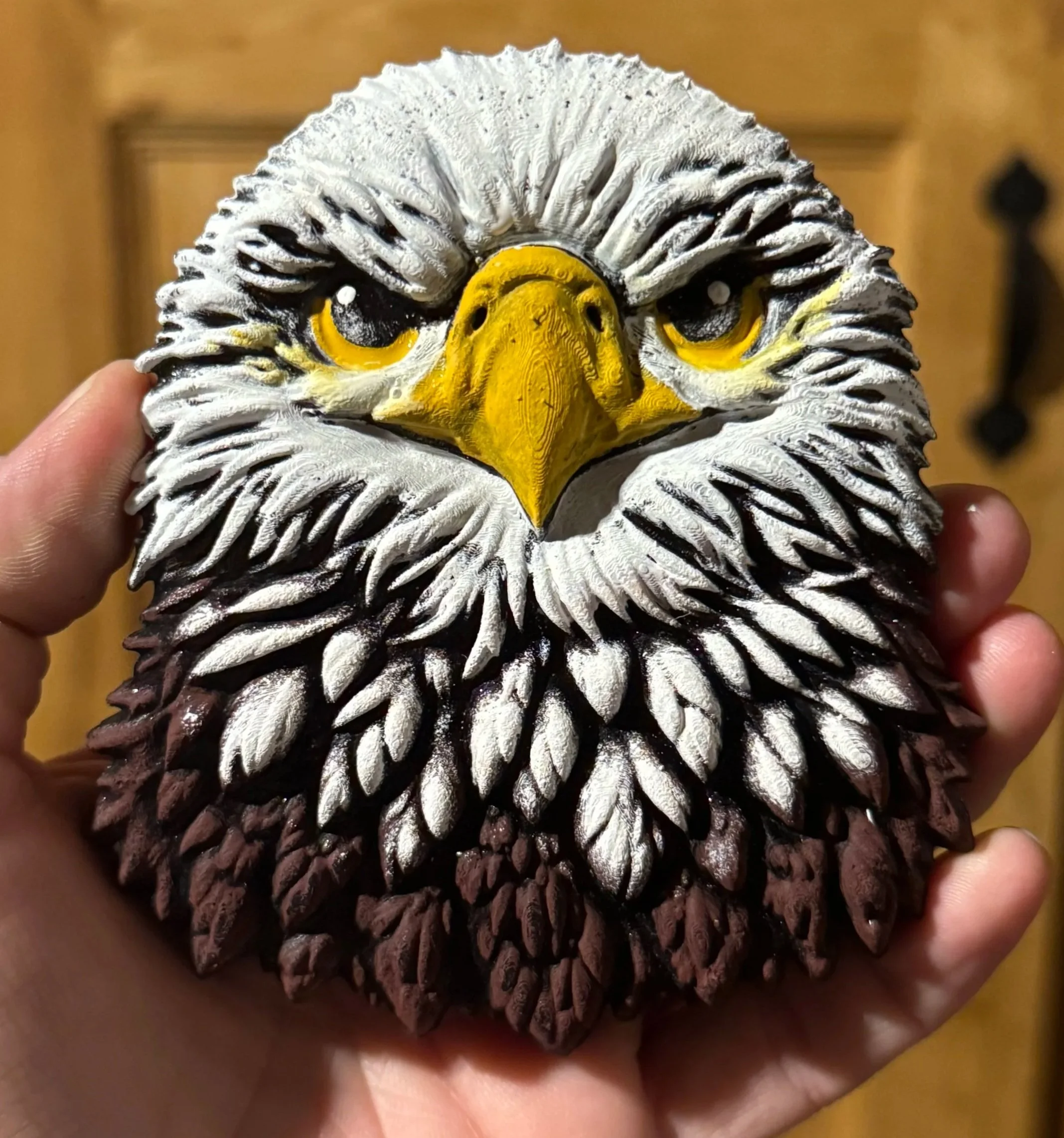 Eagle Face 3D