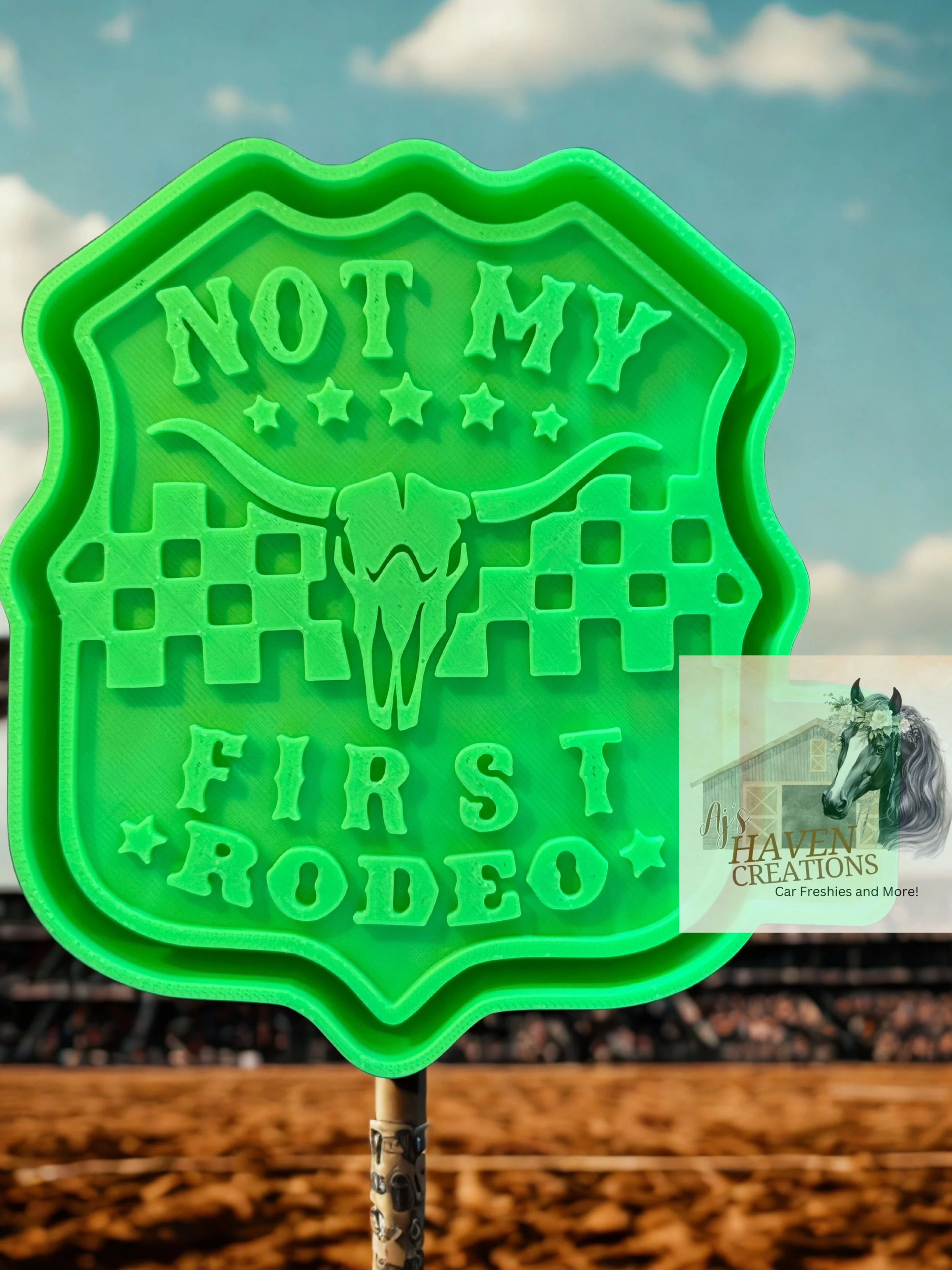 Not my First Rodeo