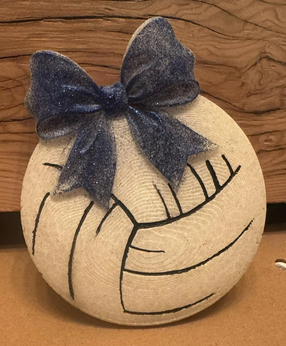 Volleyball with Bow 3D
