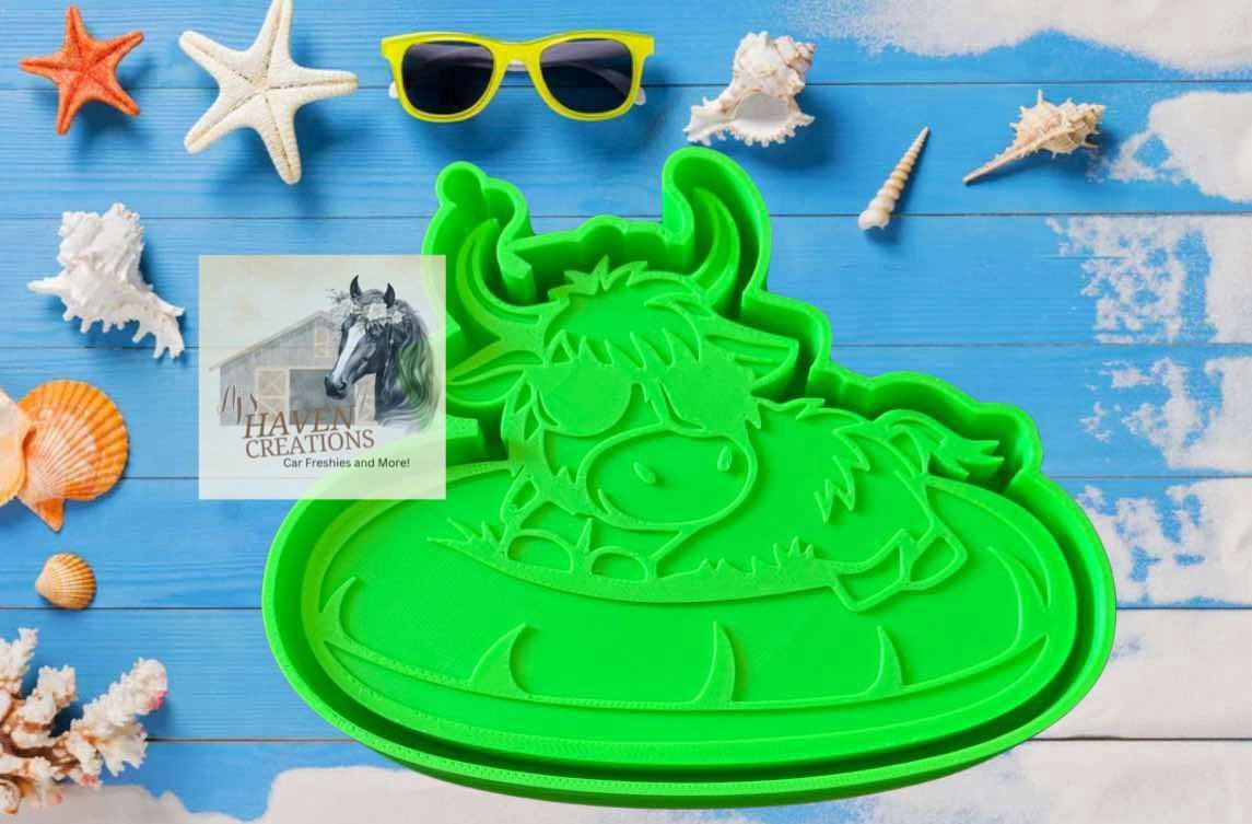 Bull on Floaty