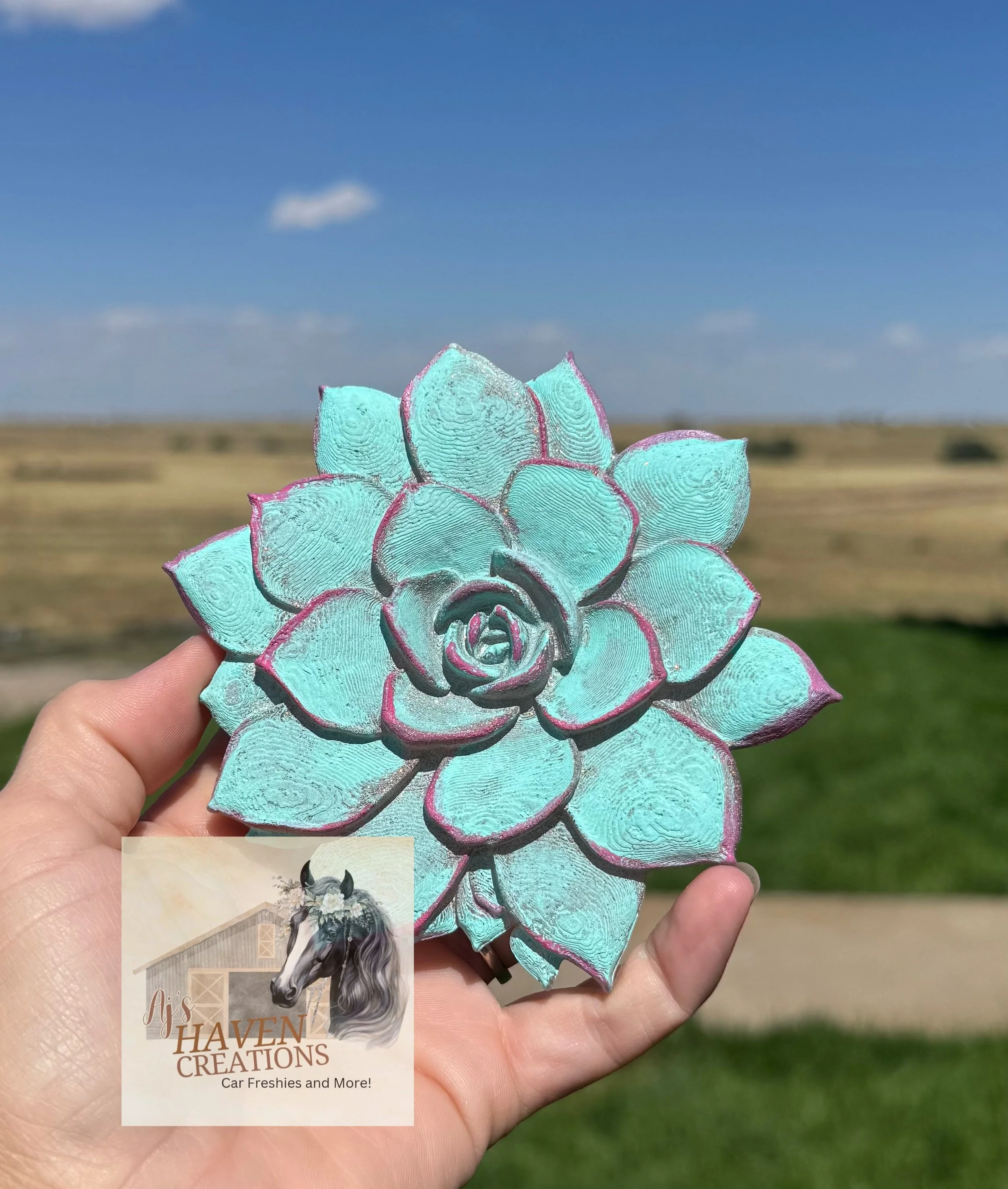 Succulent 3D
