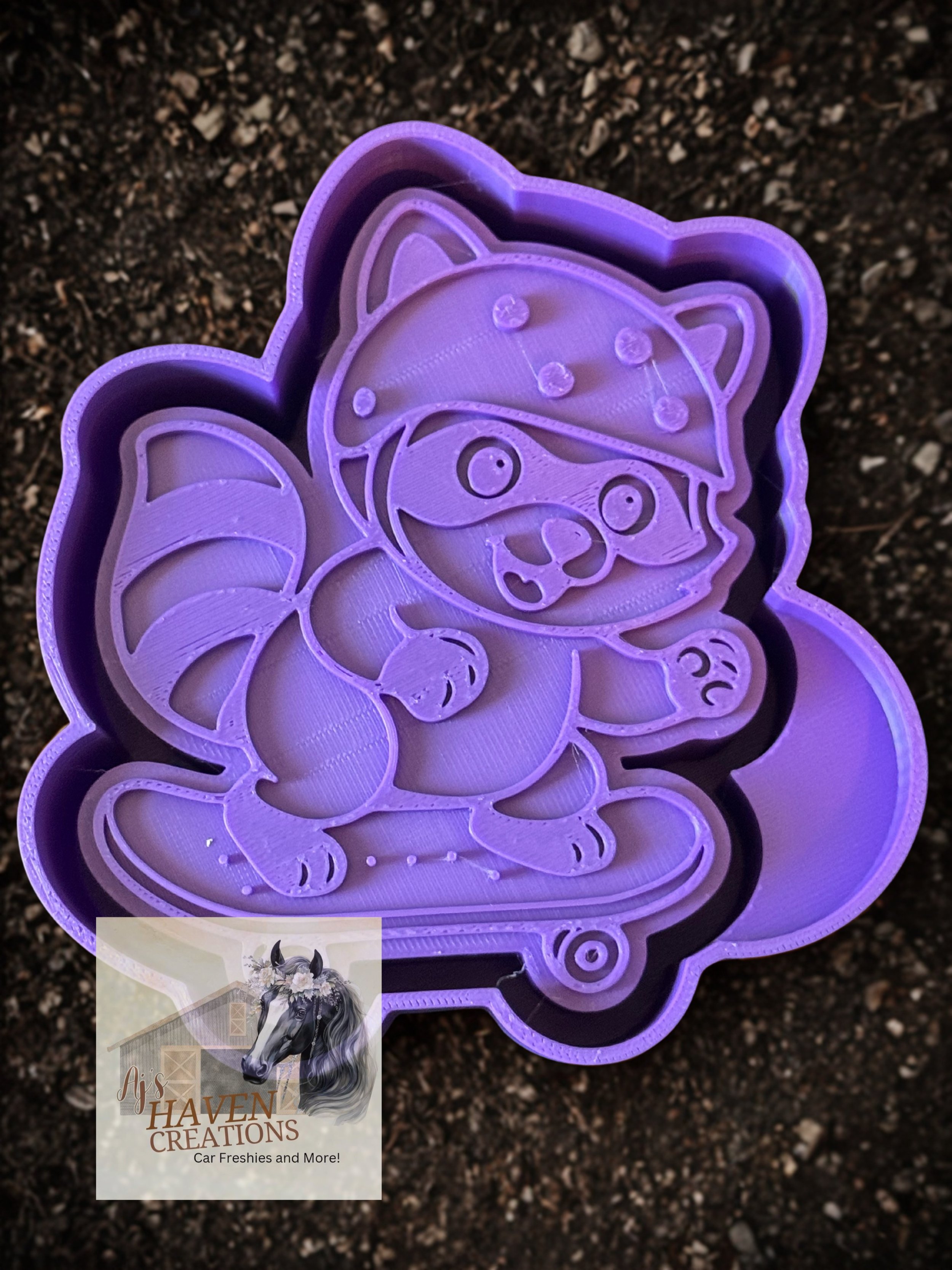 Skater Raccoon