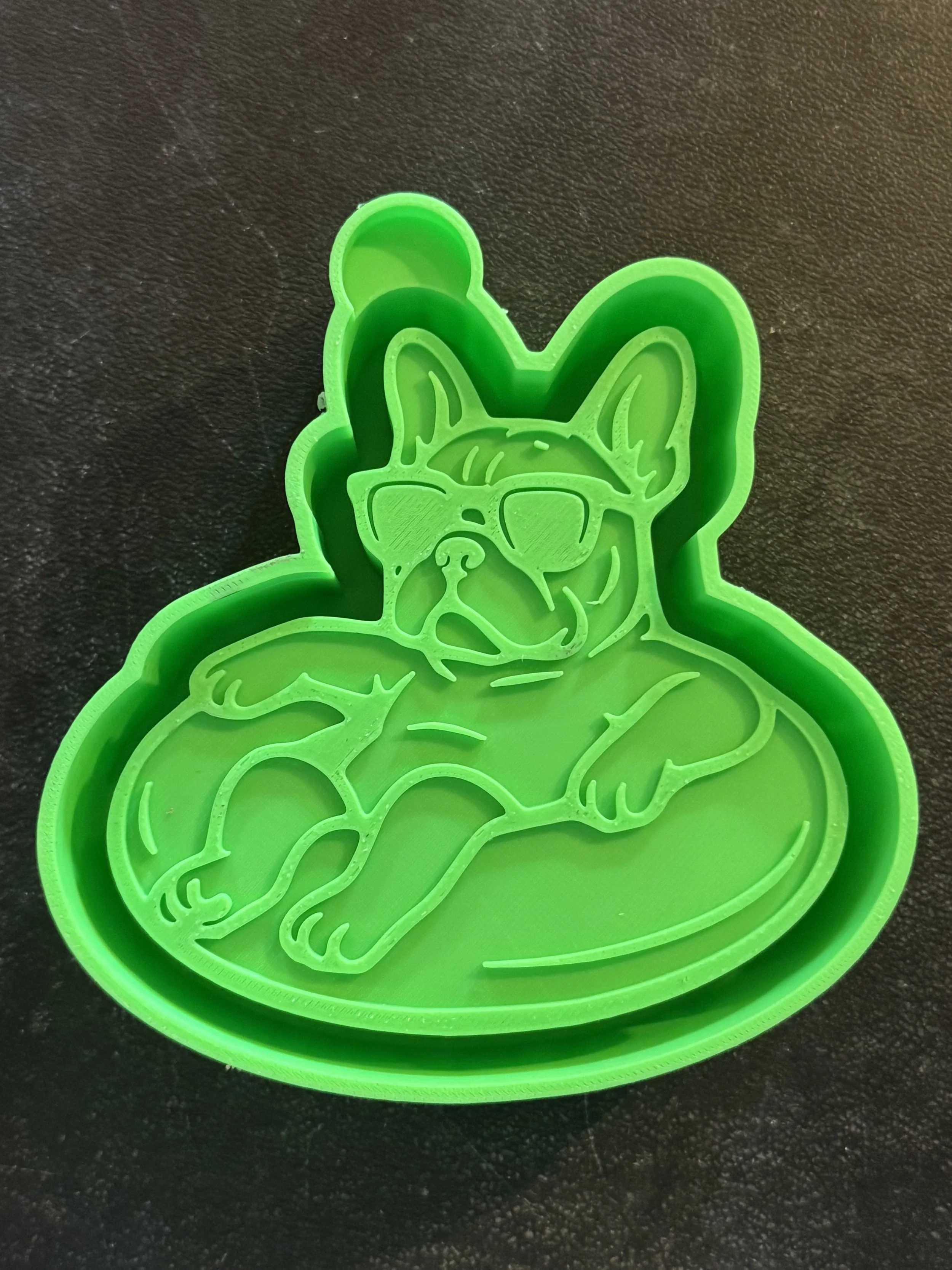 Frenchie on a floatie