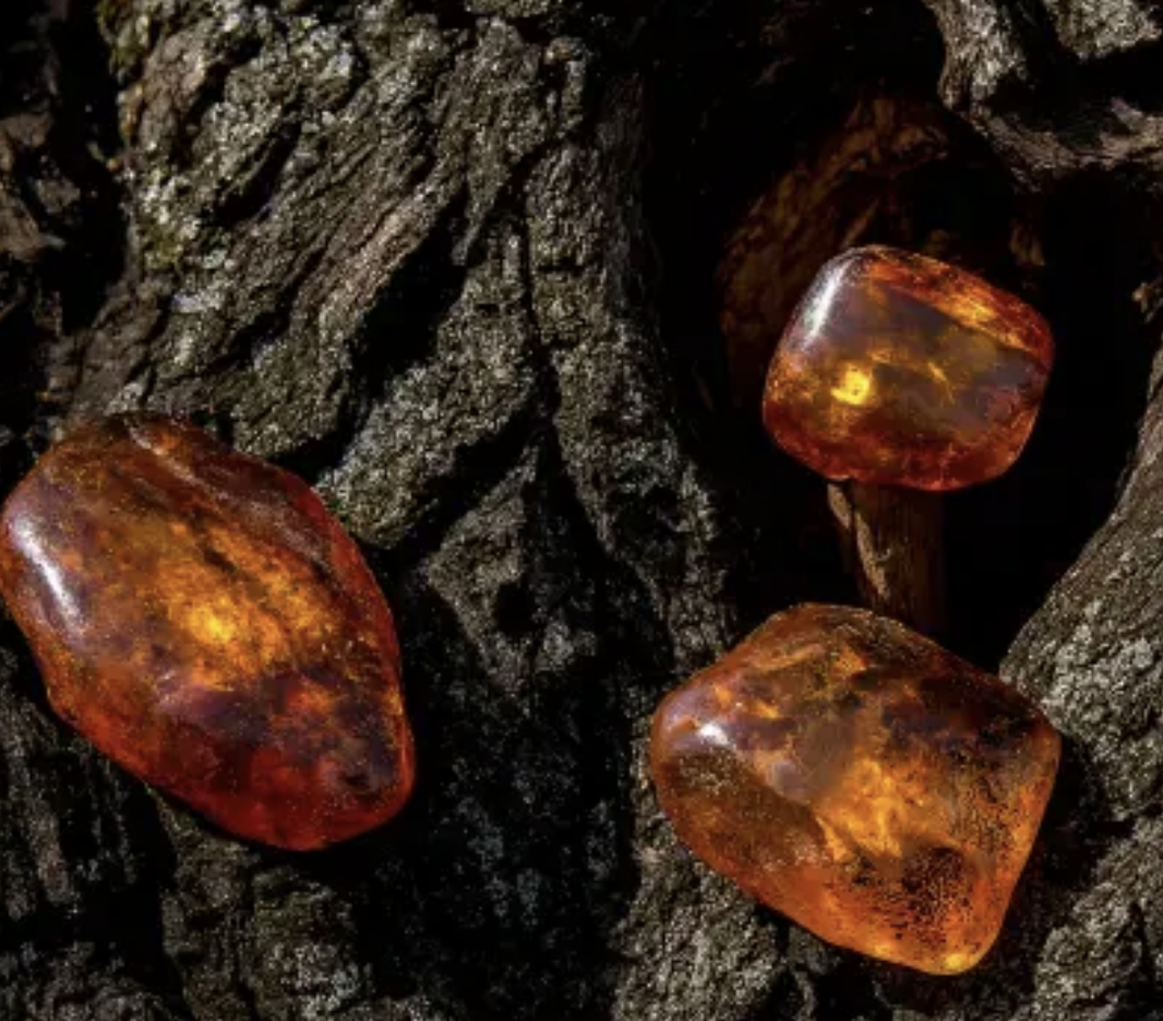 Amber and Oud