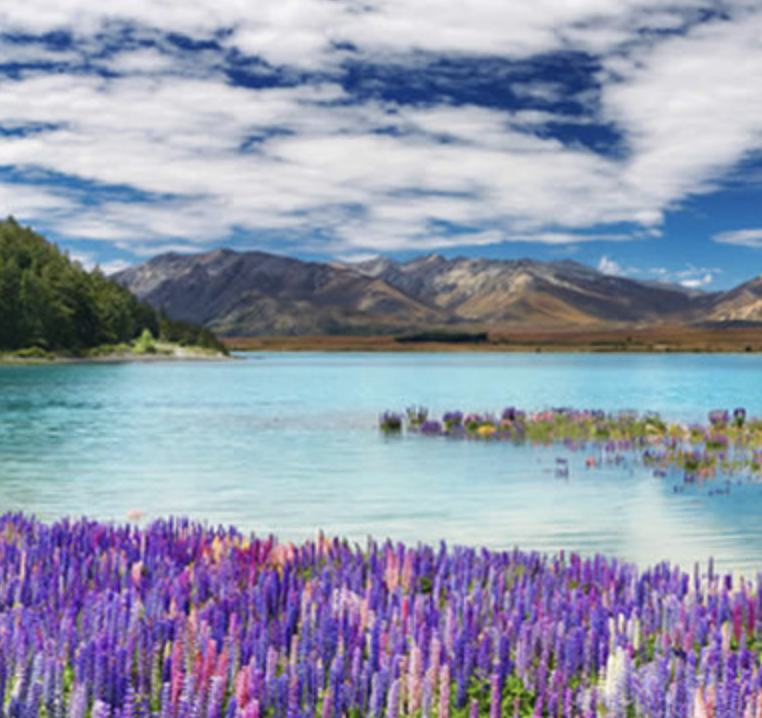 Screenshot 2025-12-03 at 12.15.37 PM.png