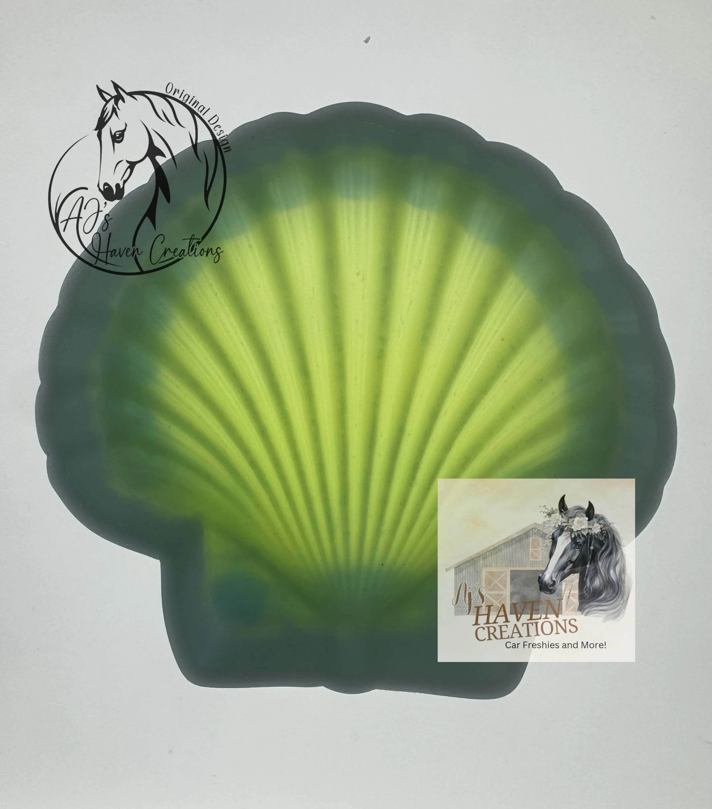 Clam Shell 3D