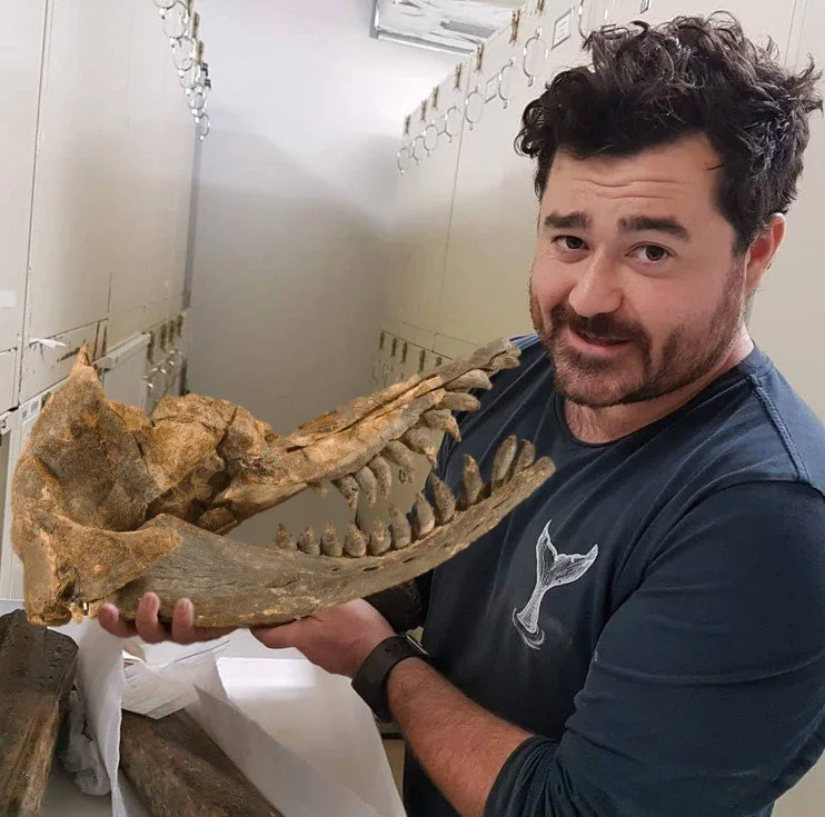 acrophyseter edit (1).jpg