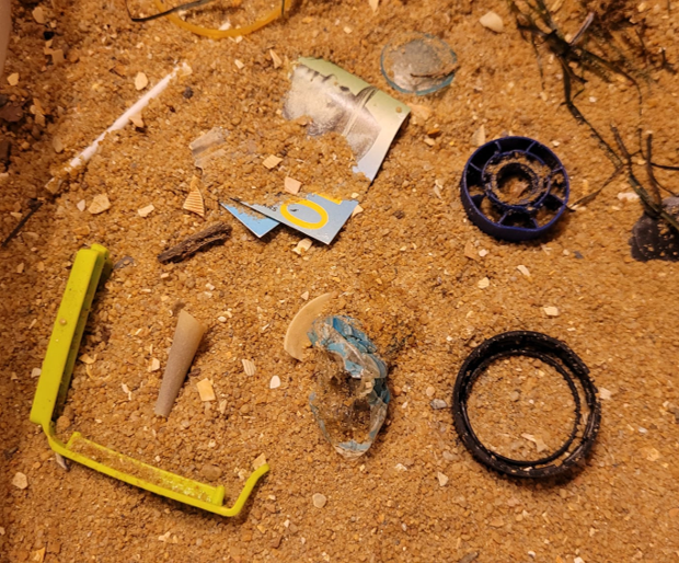Rubbish. There is rubbish everywhere in Bayside, and we can all do our part to pick it up when we see it. 