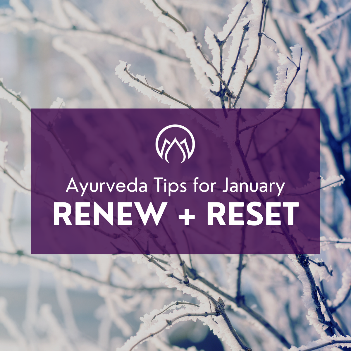 Renew + Reset: Ayurveda Tips for January