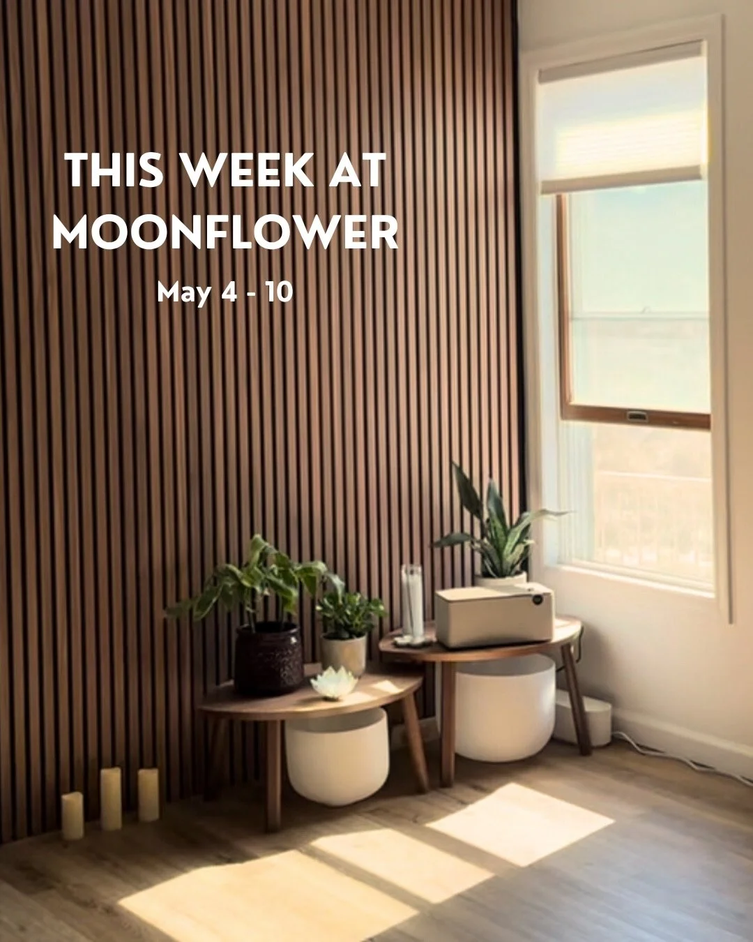 A magical week ahead at Moonflower 💖

New classes + new teachers on the yoga schedule this week&mdash;with the same compassionate community to practice along side you.

Healing Arts sessions availability this week:
✨ Monday, 5-7pm with @katiemdenk (