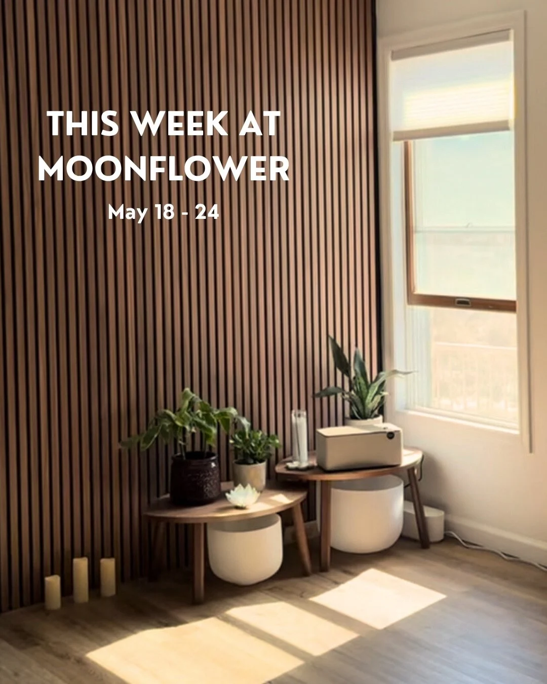 This week at Moonflower 💫 

We&rsquo;re welcoming Sineigh to the teaching team with two new Tuesday morning classes 🧘&zwj;♀️ 
9:30am CONNECT (Slow Flow)
11:00am NOURISH (Yin + Slow Flow)

Another Tuesday addition: our dear De begins offering Healin