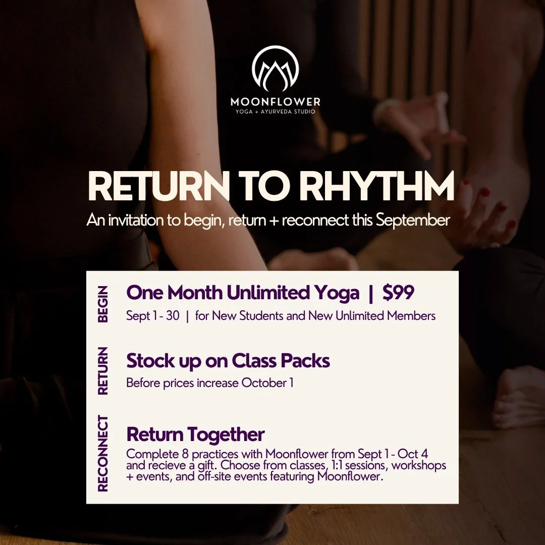 IT&rsquo;S HERE! 🍂 RETURN TO RHYTHM starts today.

If your yoga practice got a little lost in the rhythm of summer&hellip; this is for you.

Maybe you traveled. Your schedule changed. You spent more evenings outside. Or your practice simply looked a