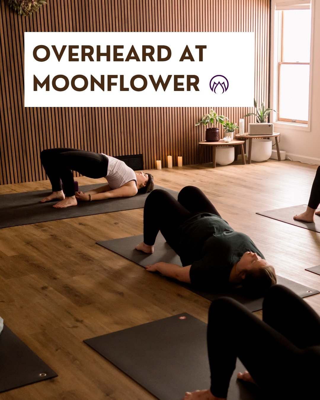 🌙 ✨ Overheard at Moonflower ✨🌙

There's a special kind of magic in the little things people say inside the studio. Sometimes the quietest words are the ones that say the most.

Our studio is more than a place to stretch. It's a place to slow down, 