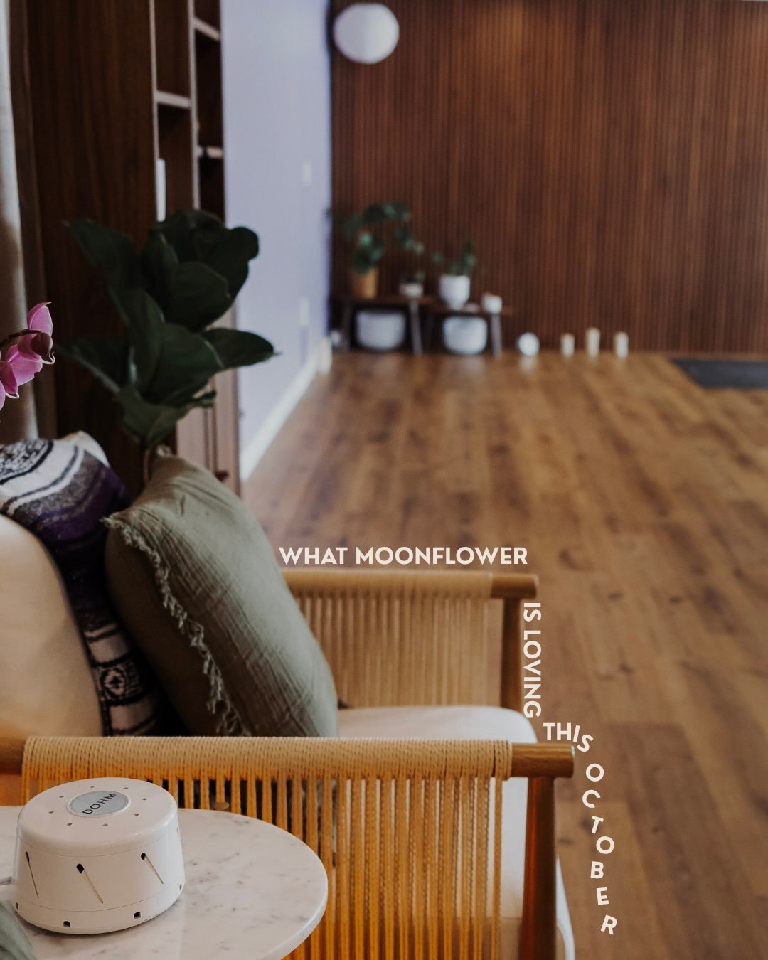 October at Moonflower 🍂✨

This month, we&rsquo;re loving the things that invite us to move, explore, connect, and make a little space for ourselves.

🤸&zwj;♀️ Taking flight with Jamie at our Flight School arm balance workshop
🌿 Saturday afternoons