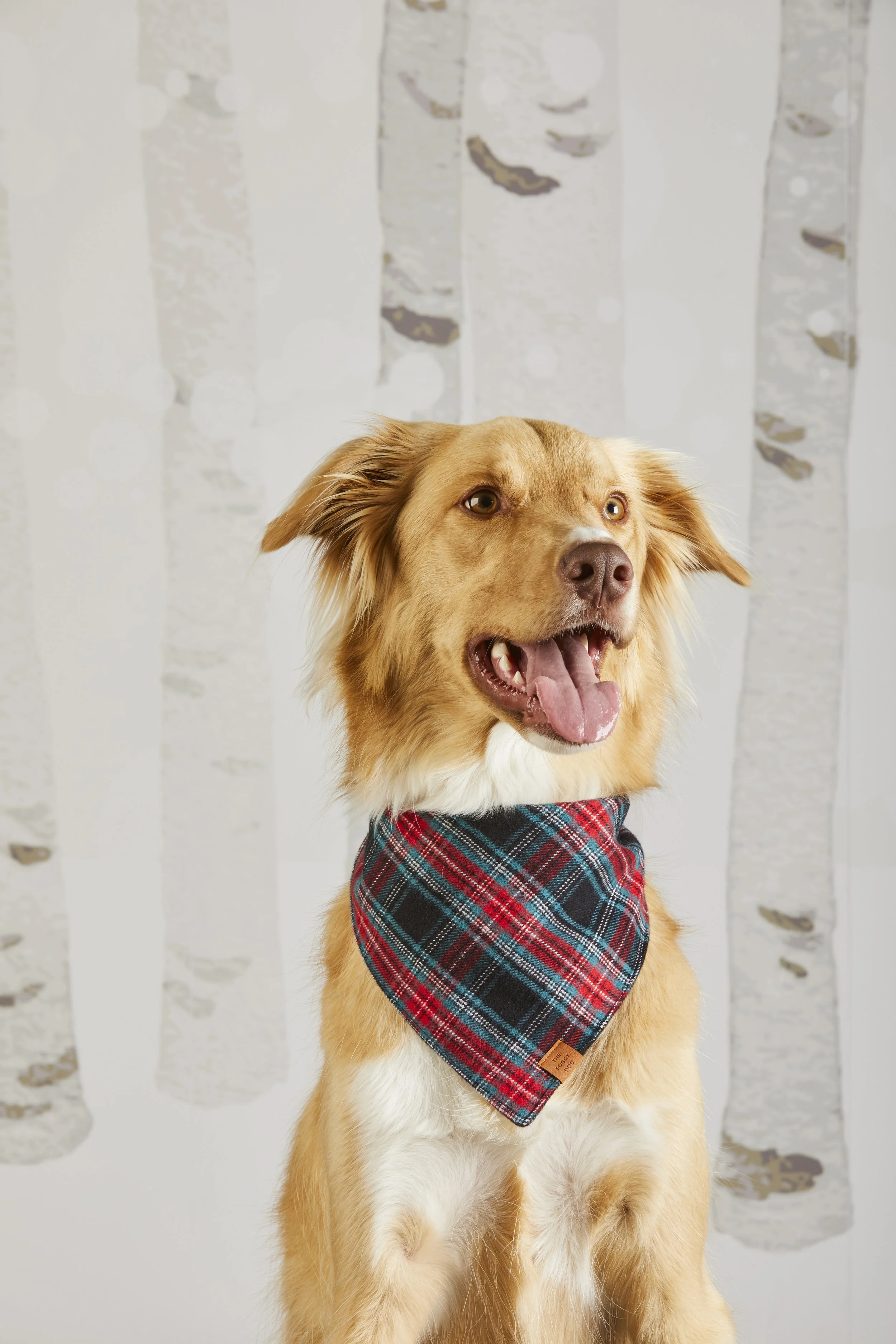 GeorgiaPlaid_Bandana_23-09-07_16146 copy.jpg