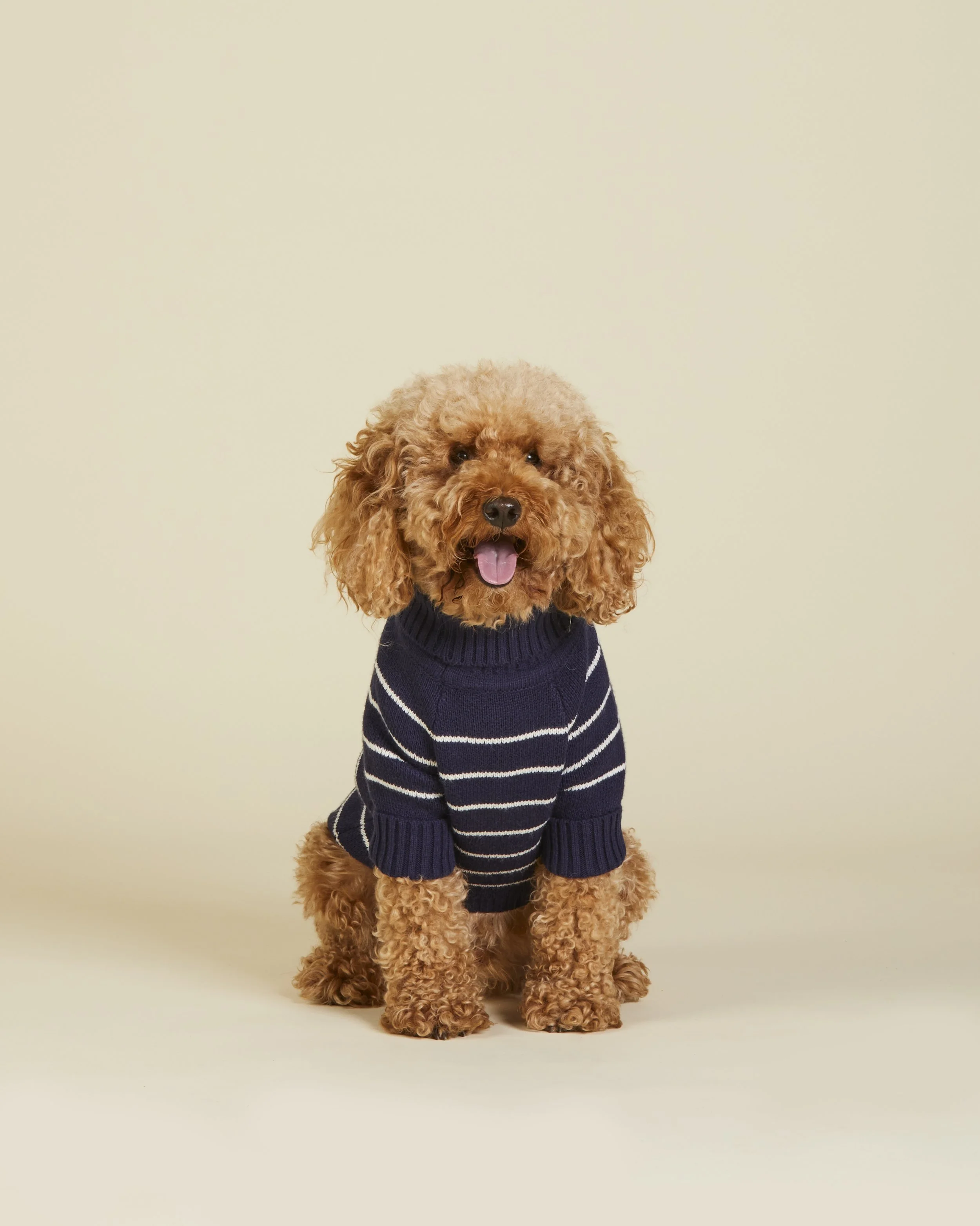 DraperJames_Sweaters_23-09-07_15831 copy.jpg