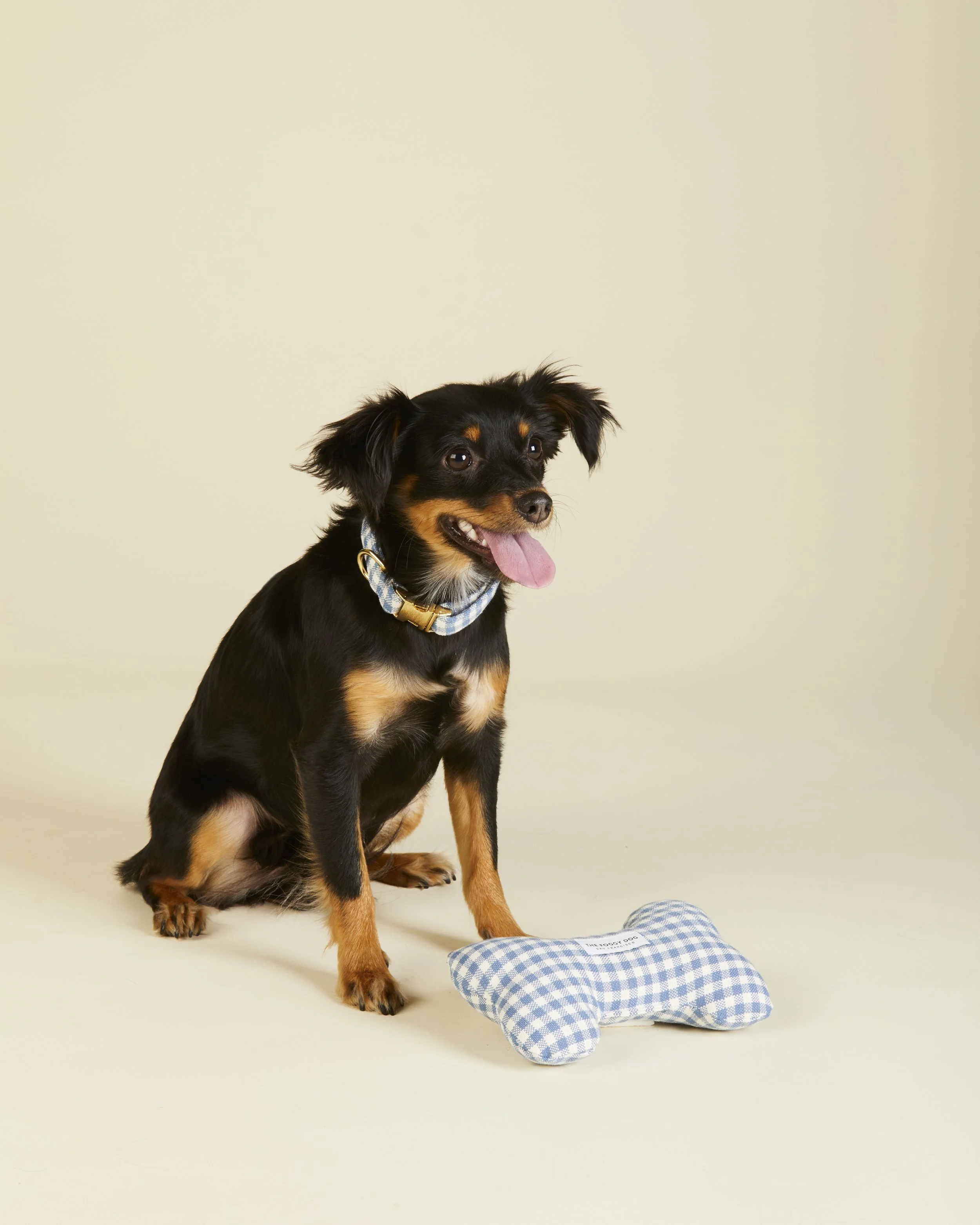CloudBlue_Gingham_Collar_Toy_23-09-07_16337 copy.jpg