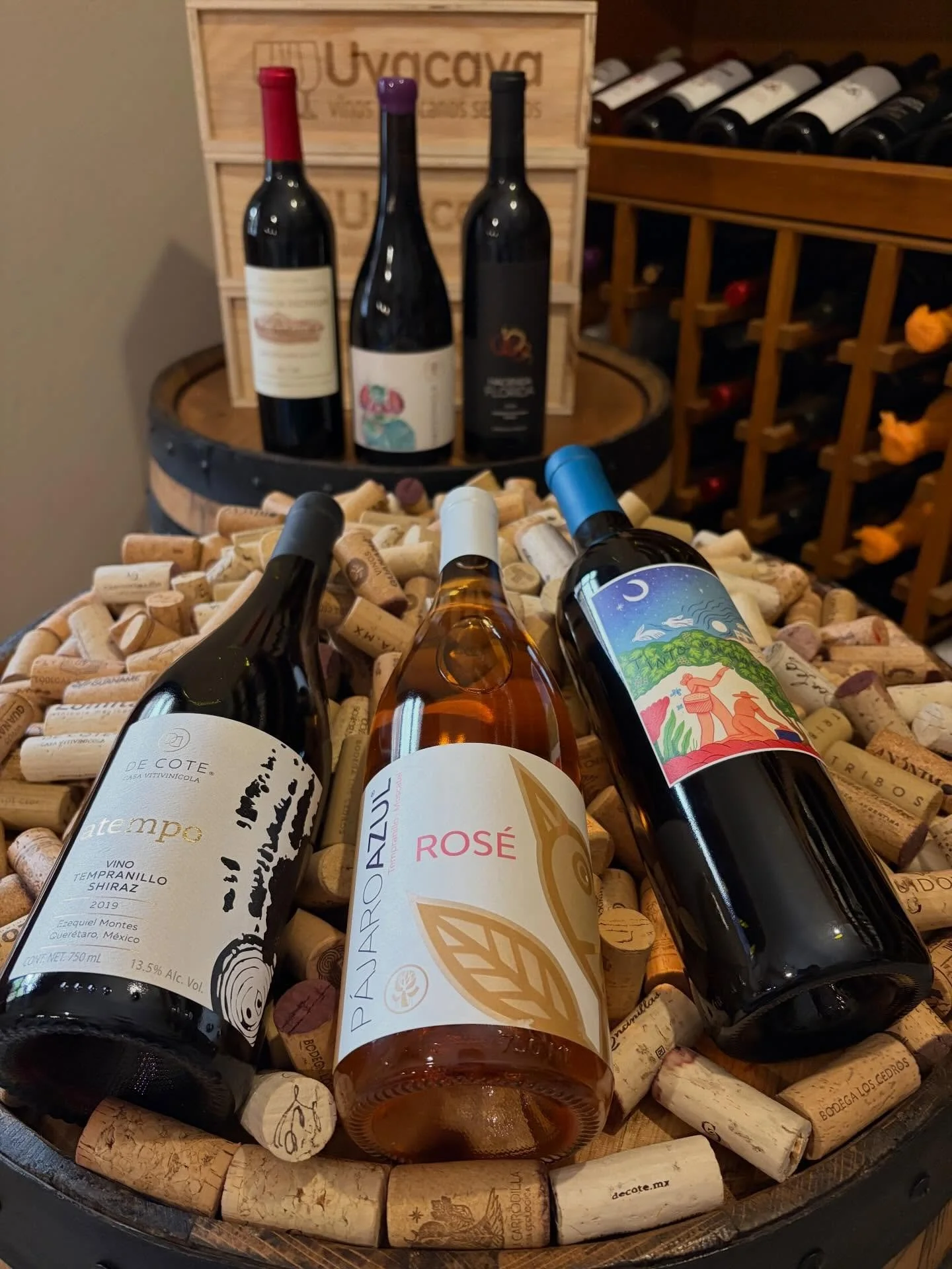 Uvacava, vinos mexicanos selectos.
🍷🇲🇽👌🏽