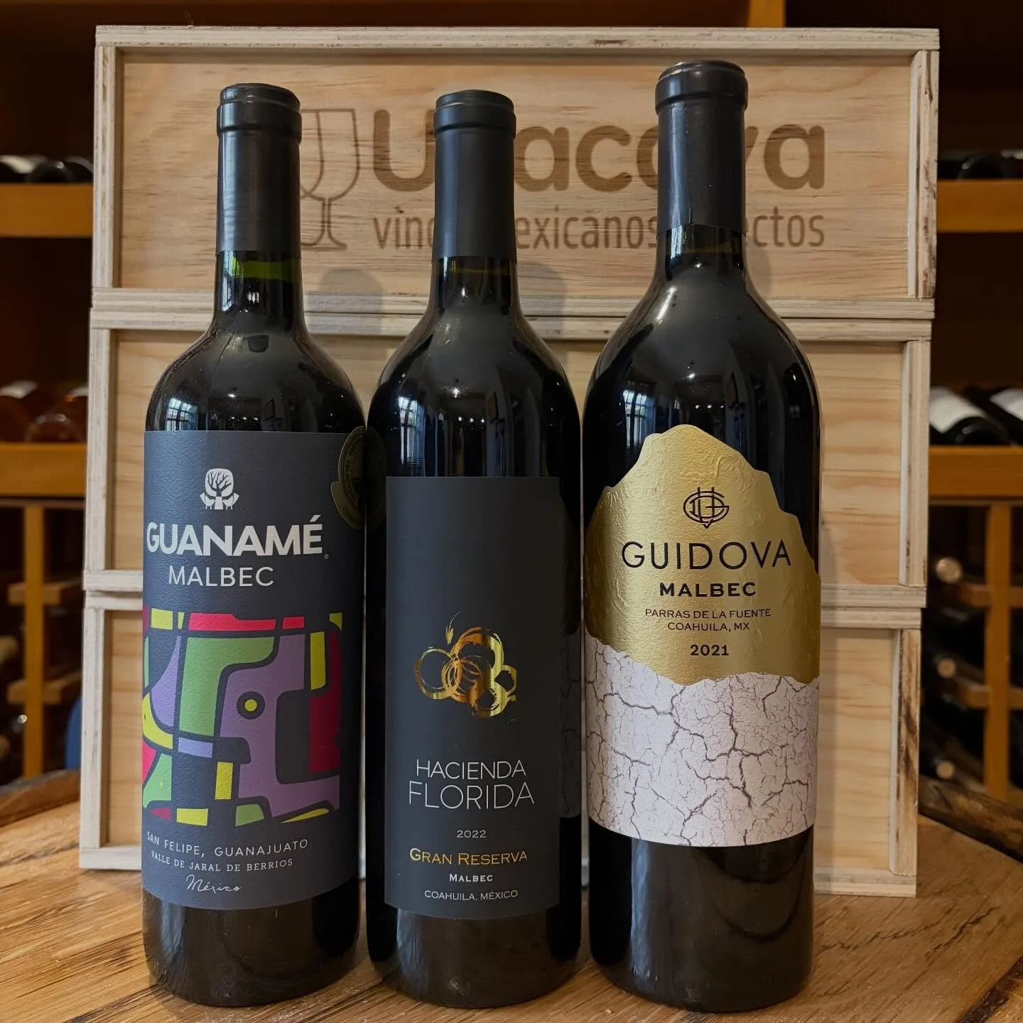 Celebramos el D&iacute;a del Malbec con tres espectaculares propuestas de vino mexicano: Guanam&eacute; Malbec, Guidova Malbec y Hacienda Florida Gran Reserva Malbec 🎉🍷
📍Visita nuestra tienda o disfr&uacute;talos en nuestro wine bar.
✉️ Reservacio