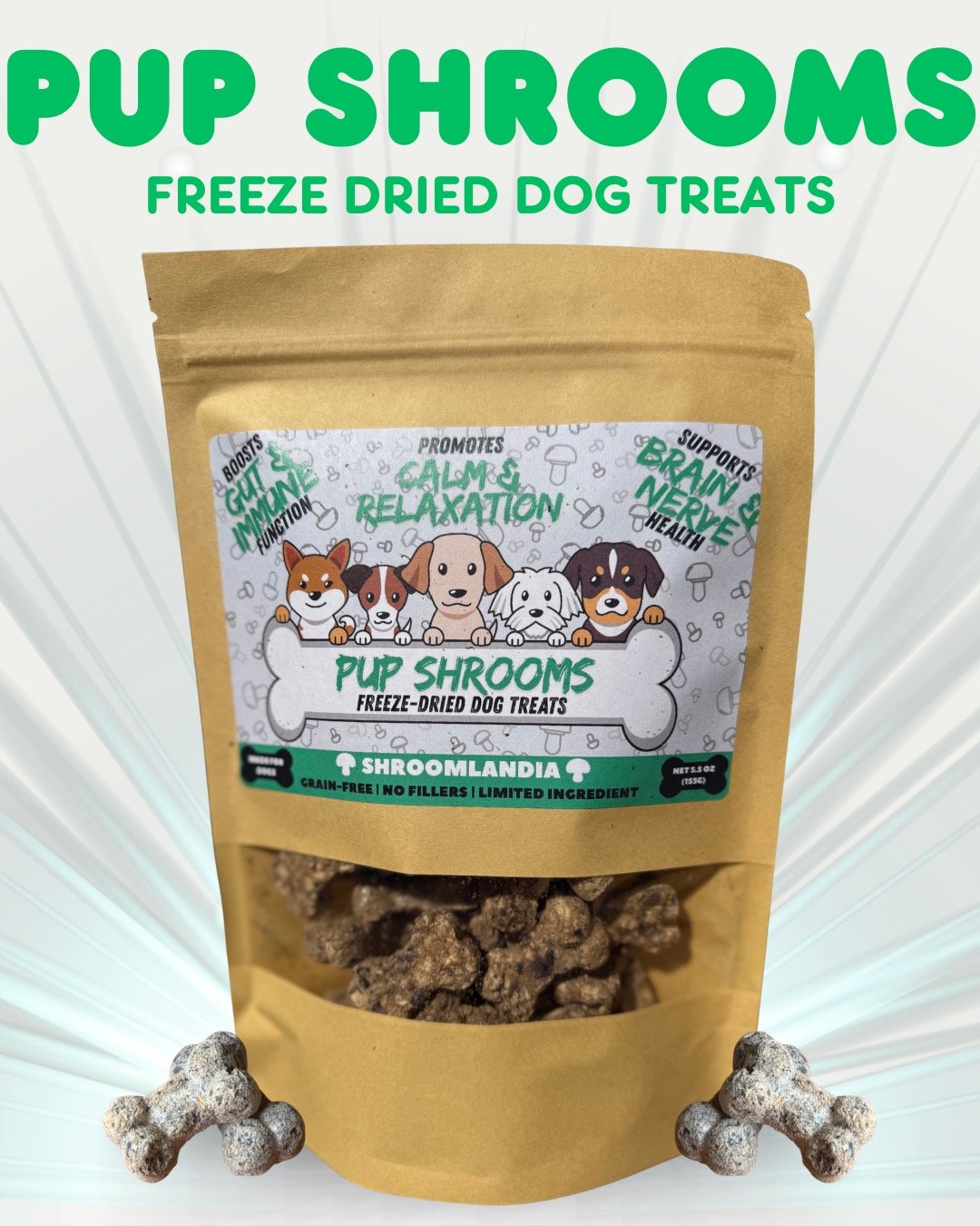 Pup Shrooms Are Here! 🐾
Because your best friend deserves the best treats. 💛

Meet Pup Shrooms!
Shroomlandia&rsquo;s gourmet mushroom pet treats, made with real functional mushrooms, antioxidant-rich blueberries, and wholesome ingredients that supp