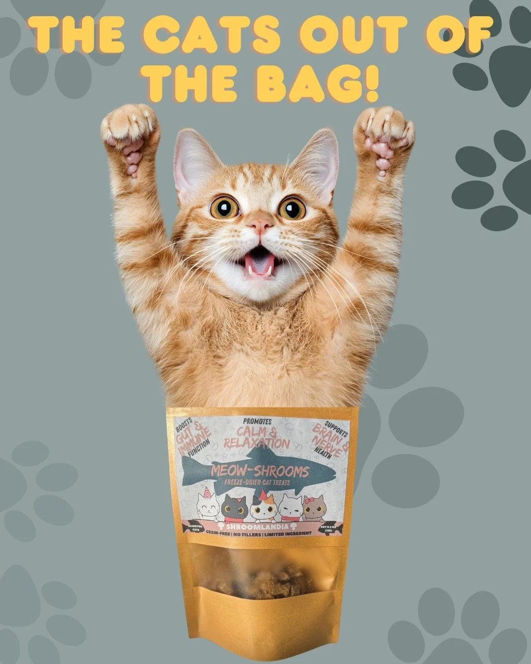 The cat&rsquo;s out of the bag&hellip; Meow-Shrooms are HERE!&rdquo; 🐾
Freeze-dried, functional mushroom treats designed just for cats! With Lion&rsquo;s Mane, Shiitake, blueberries, chia, flax + a hint of savory broth.

No fillers. No grains. No we