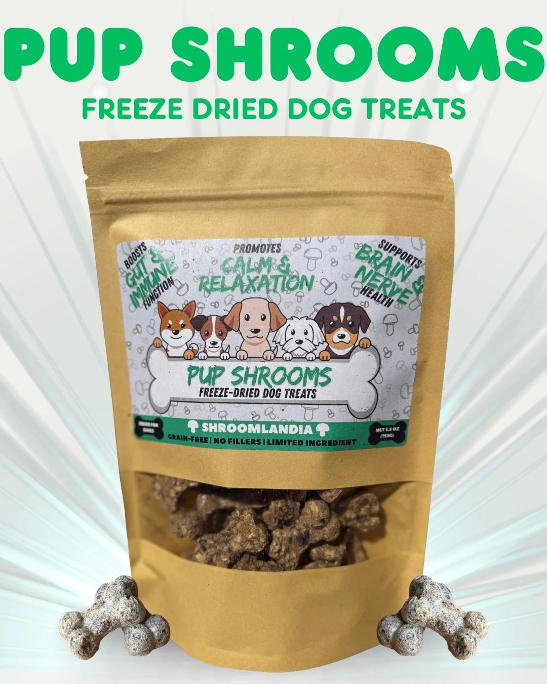Pup Shrooms Are Here! 🐾
Because your best friend deserves the best treats. 💛

Meet Pup Shrooms!
Shroomlandia&rsquo;s gourmet mushroom pet treats, made with real functional mushrooms, antioxidant-rich blueberries, and wholesome ingredients that supp