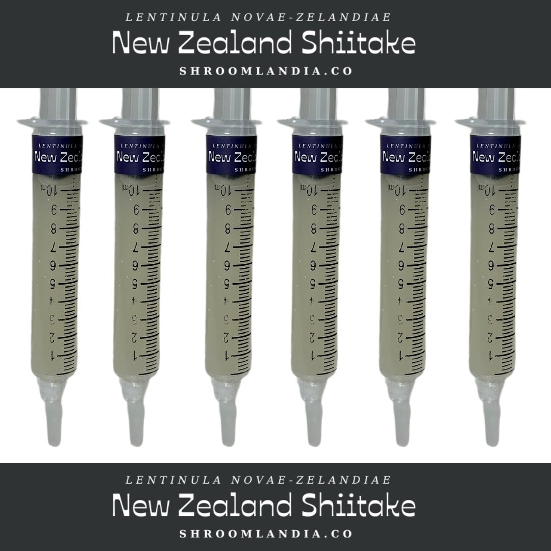 NZ LC.jpg