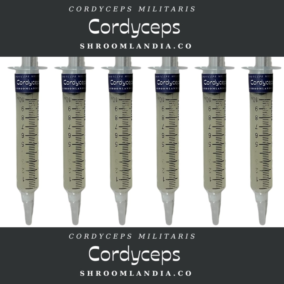 Cordy LC.jpg