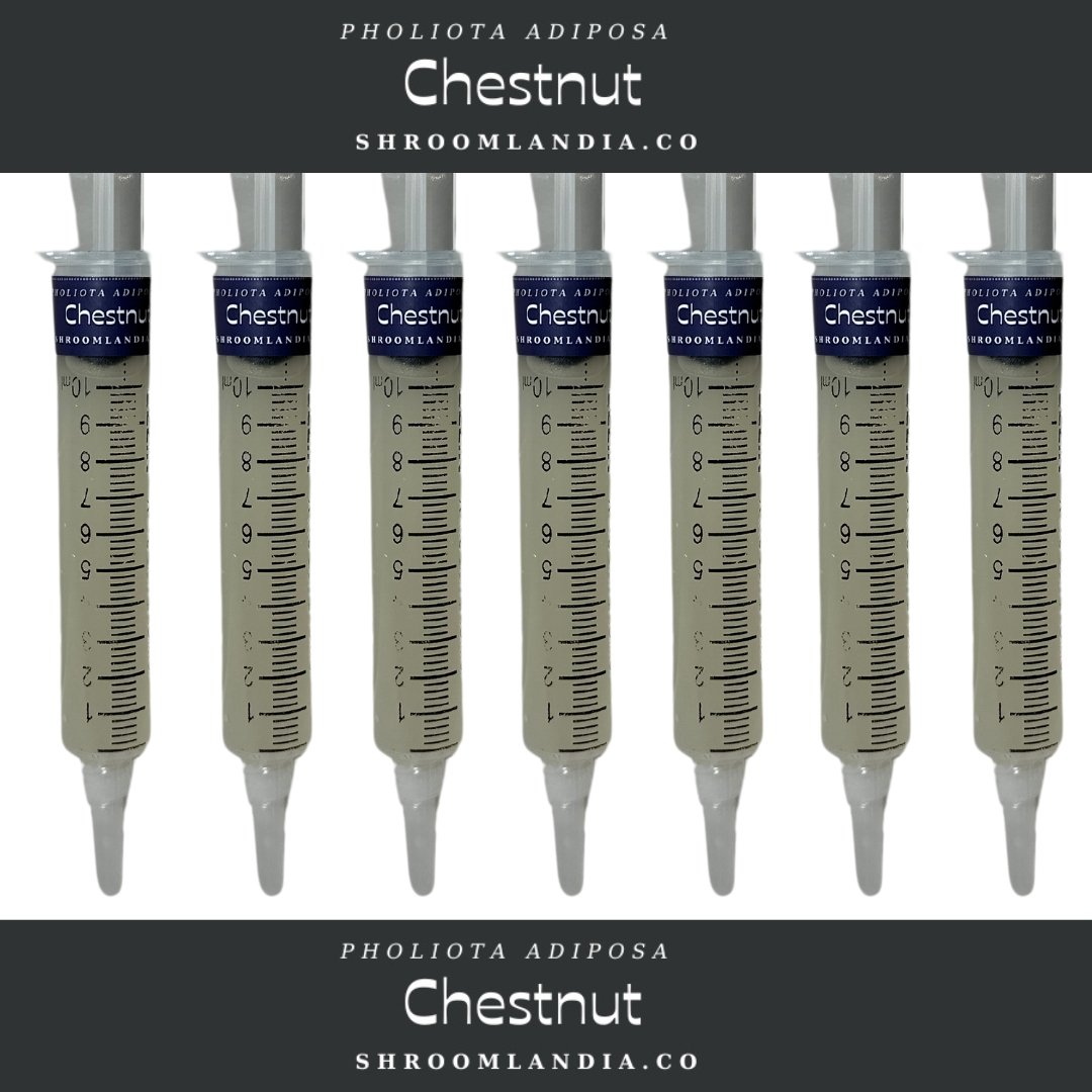 Chesnut LC.jpg