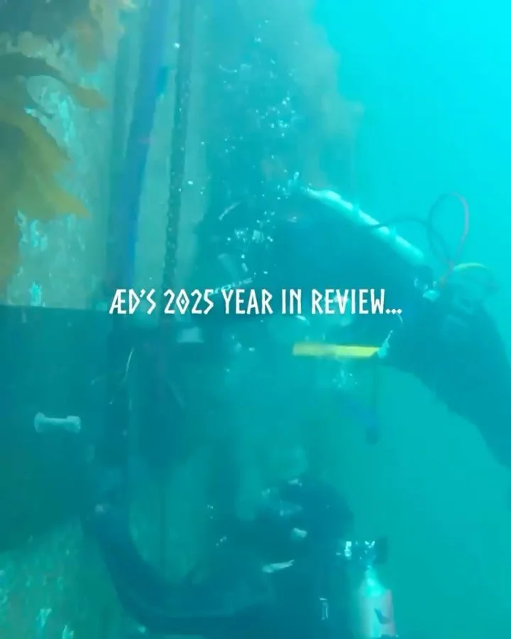Another Aegir year spent below the surface, but above the standard 🤙🏼

From a fresh HQ look to night work glow-ups, salvages, documentary reveals, and a whole lot of bubbles 🫧 &mdash; here is &AElig;D&rsquo;s 2025 in motion, slide by slide 🌊

#co