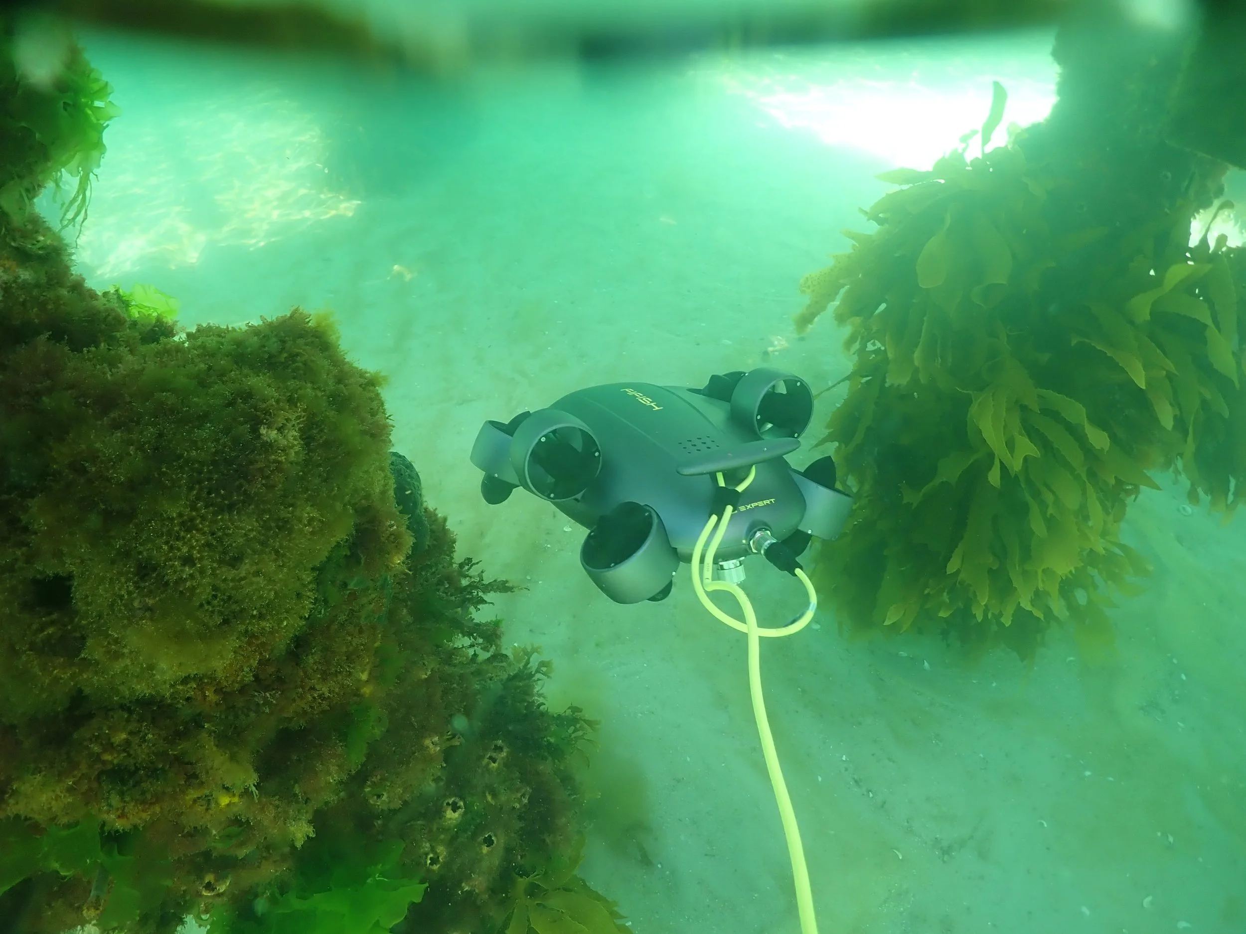 Aegir Divers_ROV-6.jpeg