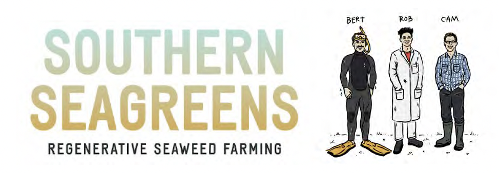 Aegir Divers Supporting Southern Seagreens Regenerative Seaweed Farming