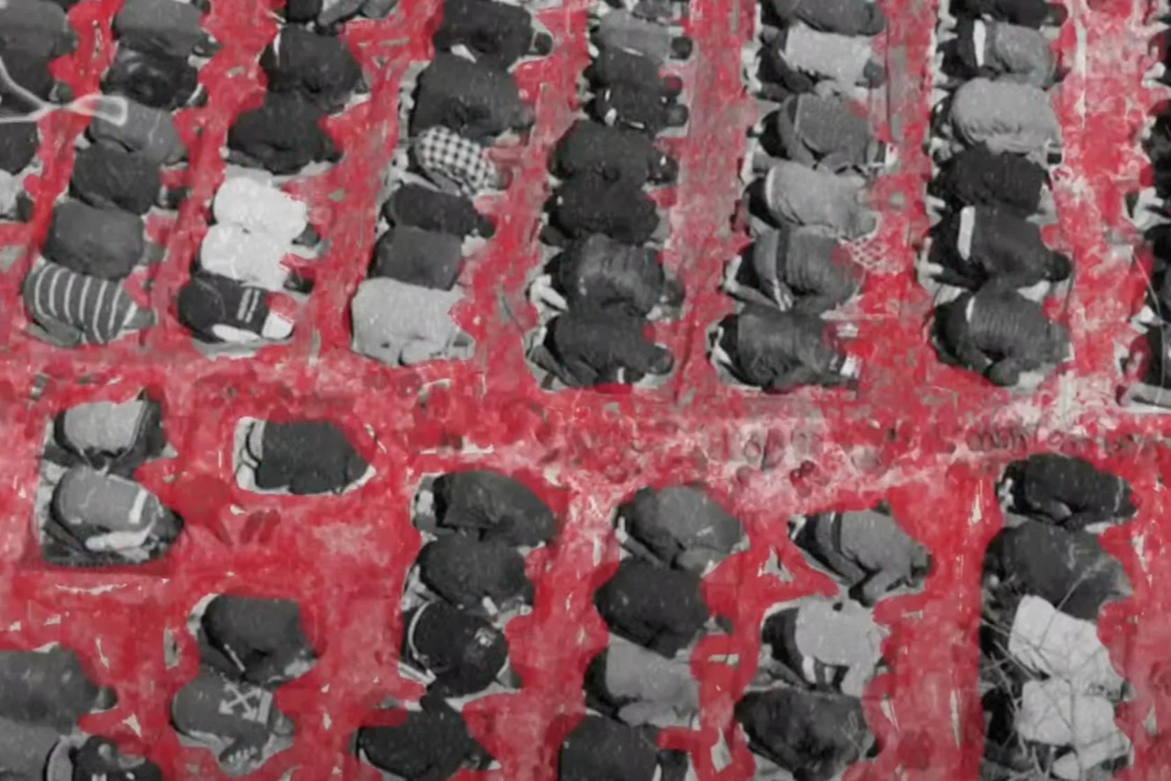 'the colors of palestine'