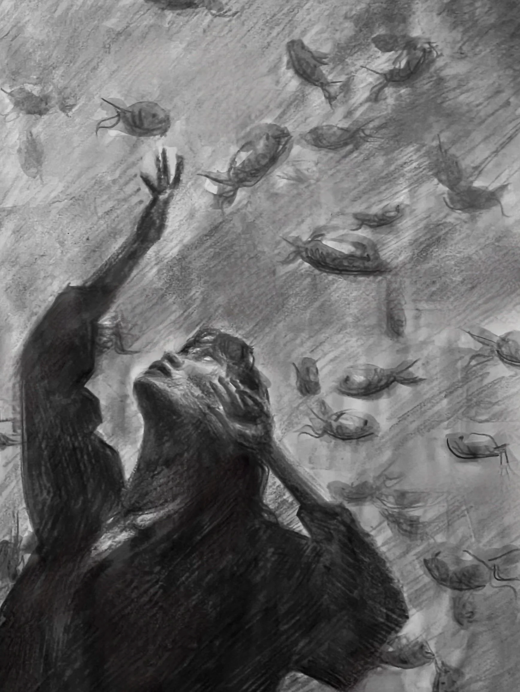 The Aquarium (graphite on paper | 9 x 12 inches | 2023)