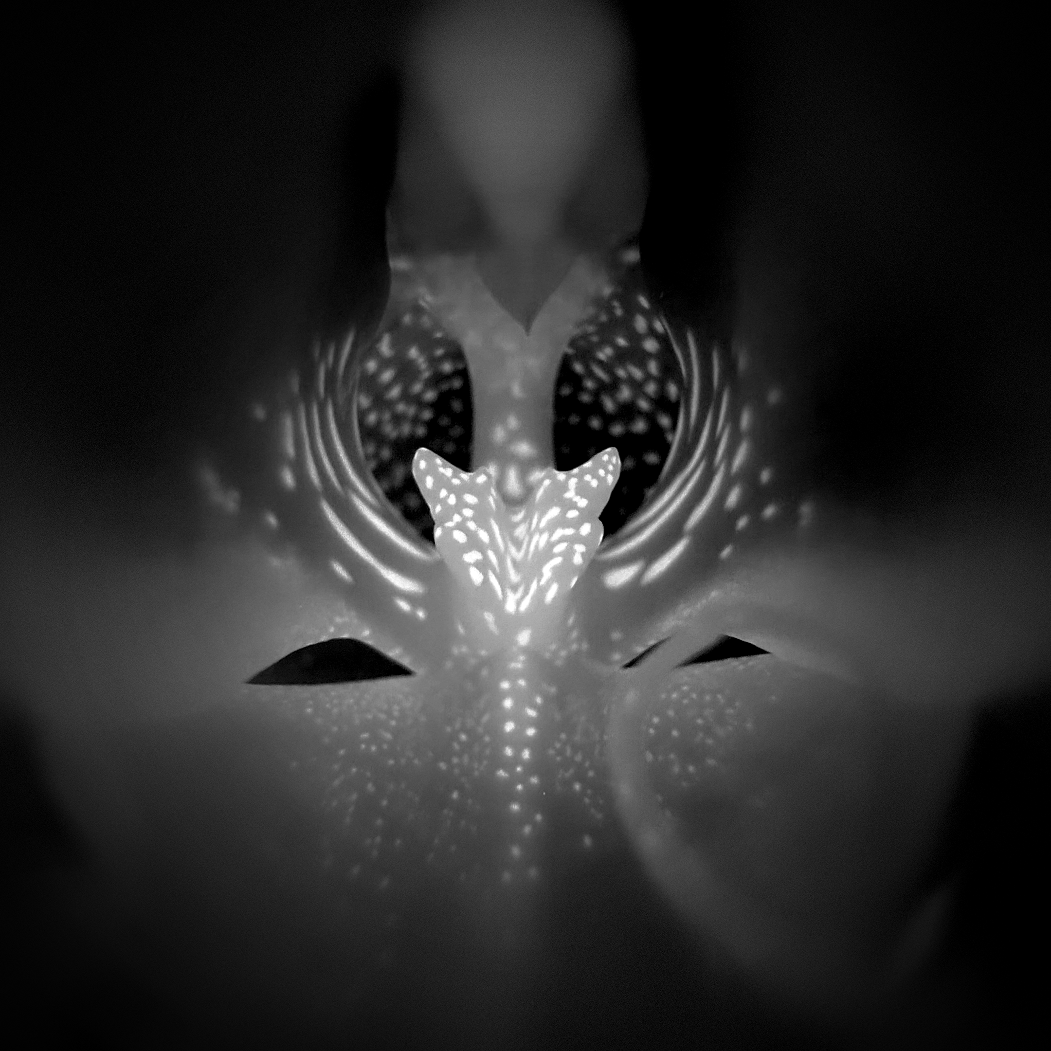 abstract2.png