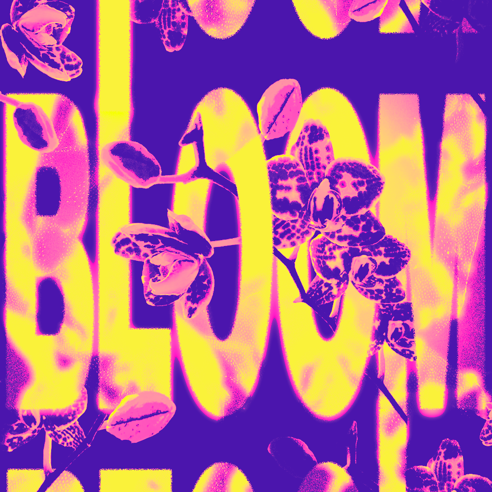 option 2_final.png