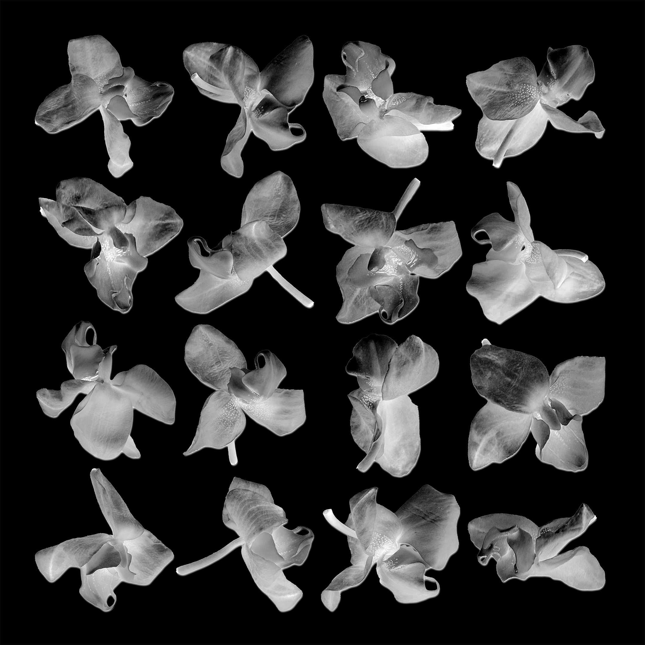 photo2.png