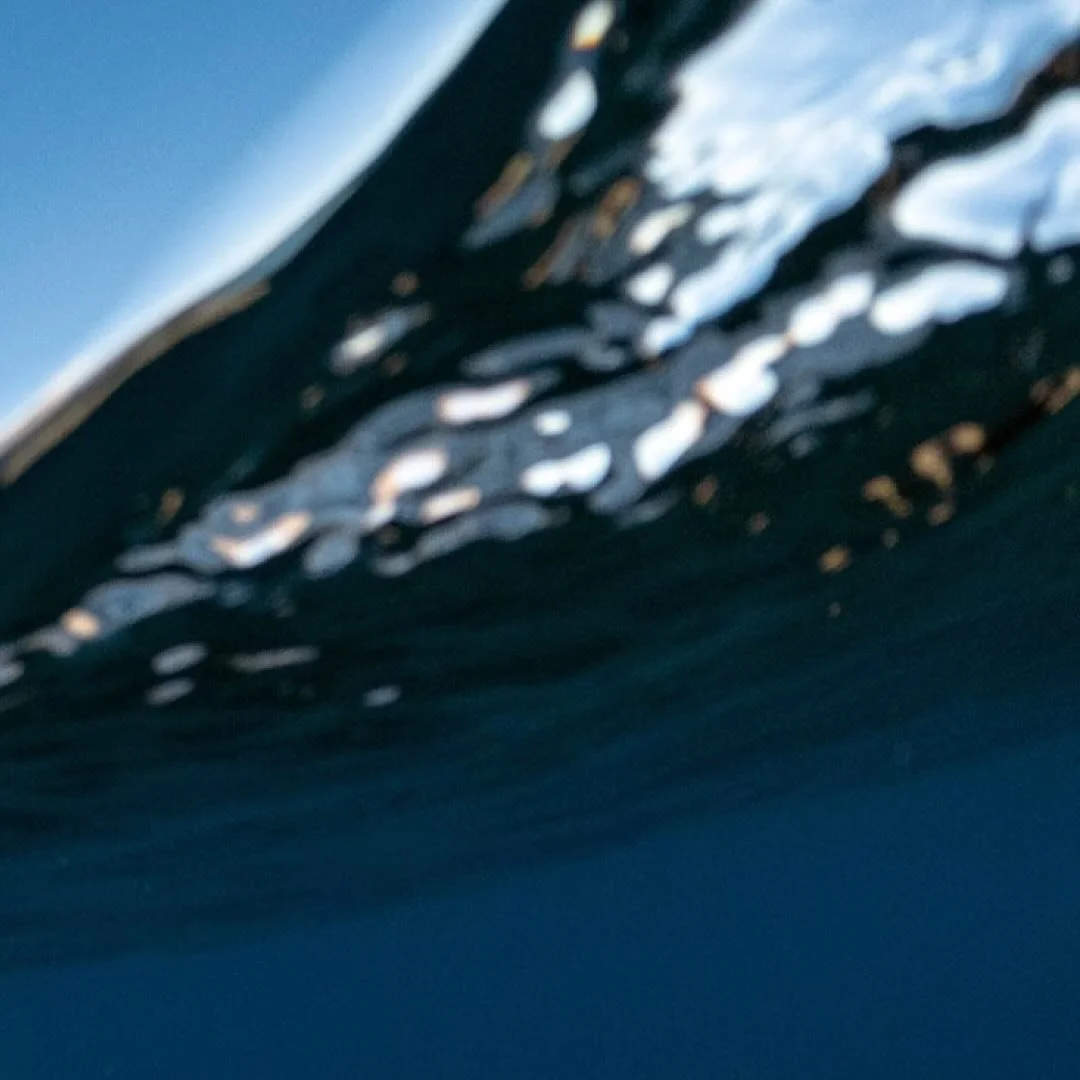 We&rsquo;re stoked to have hosted the @armstrongfoils crew down in our neck of the woods. Link in bio for their latest video around Aotearoa and Lake Whakatipu