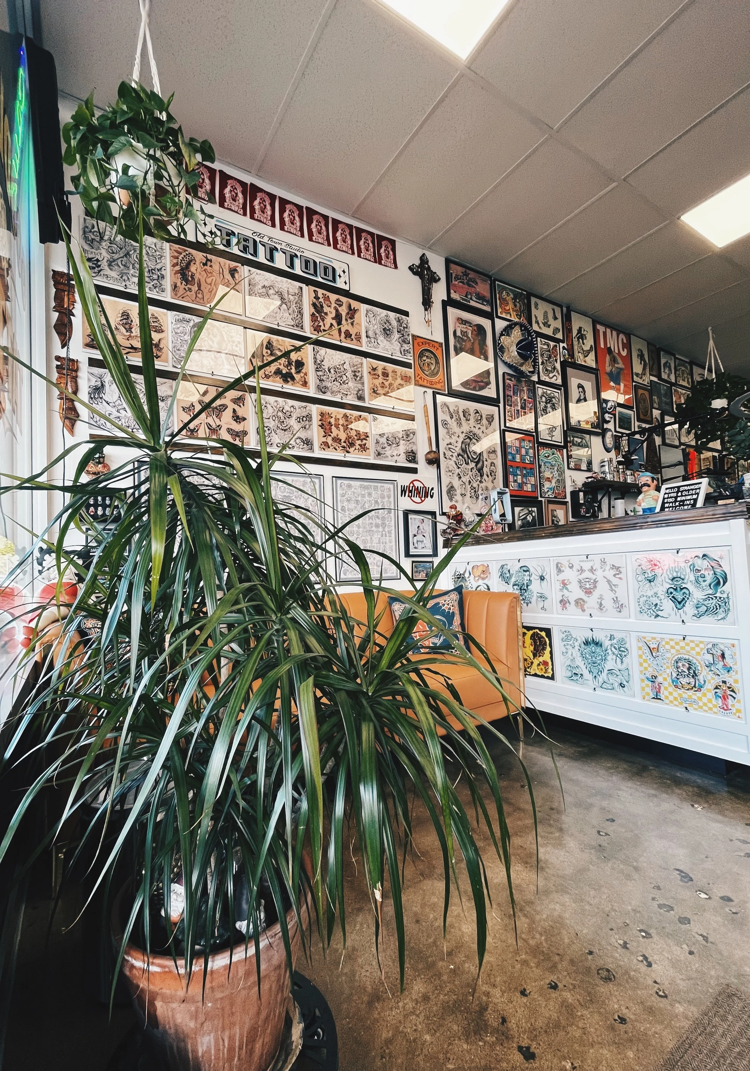 Interior of a tattoo shop with walls decorated with various tattoo flash art and artwork. A large potted plant with long, thin, green leaves is in the foreground. There is a seating area with an orange leather couch against the wall, and the floor is concrete with some paint splatters.