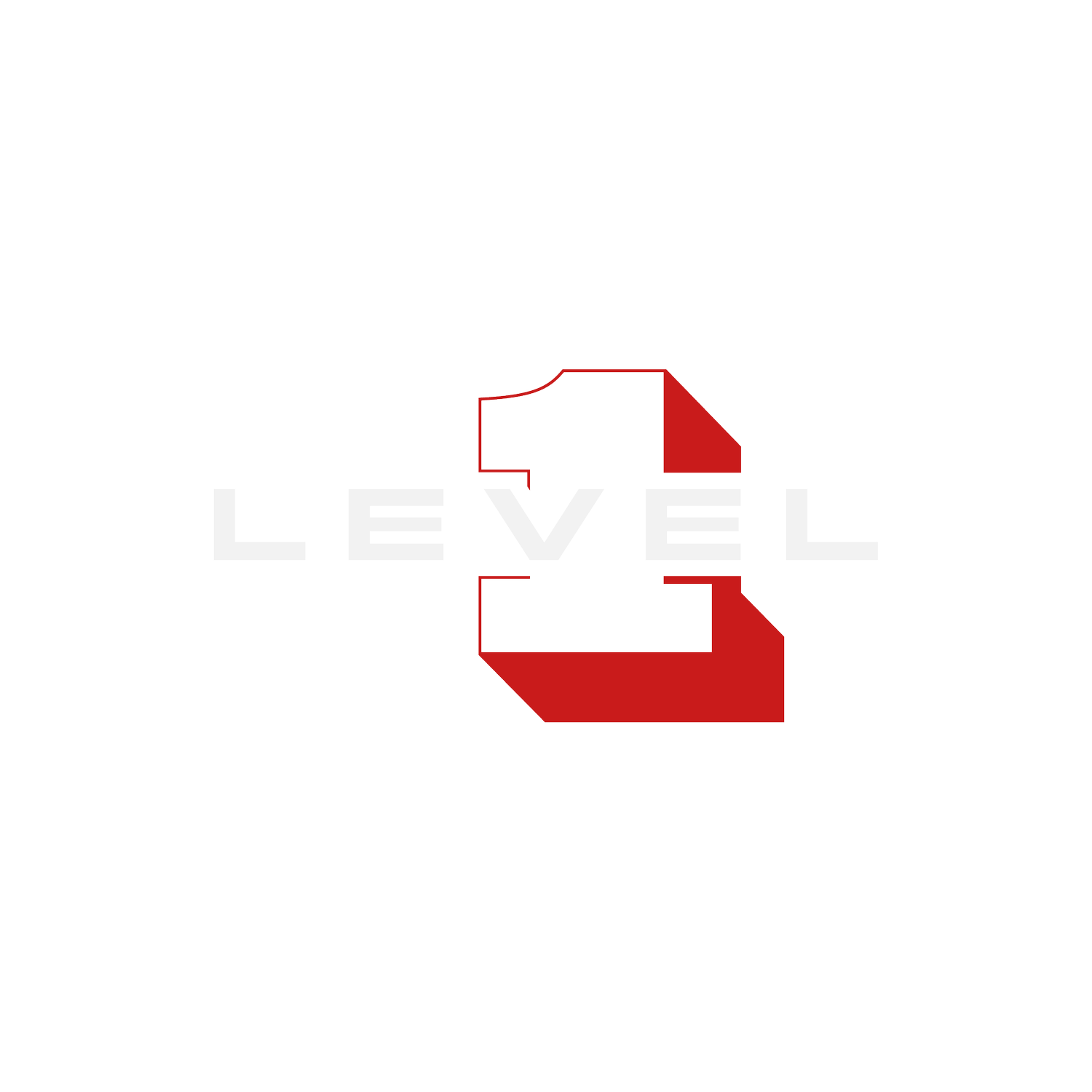 LEVEL 1