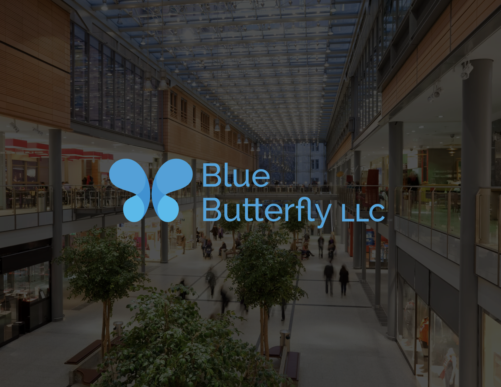 How Blue Butterfly Supports Smarter Growth for Property Owners and Retailers