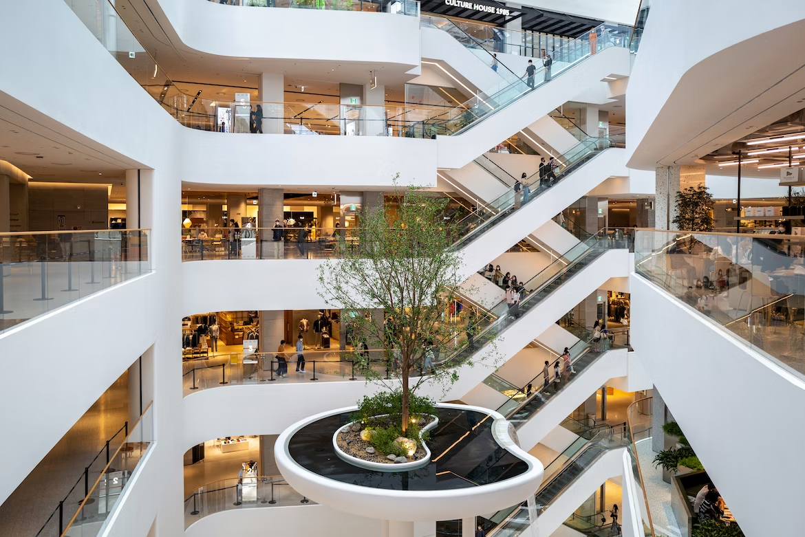 Image showcasing The Real Potential Inside Underused Retail Space — Blue Butterfly
